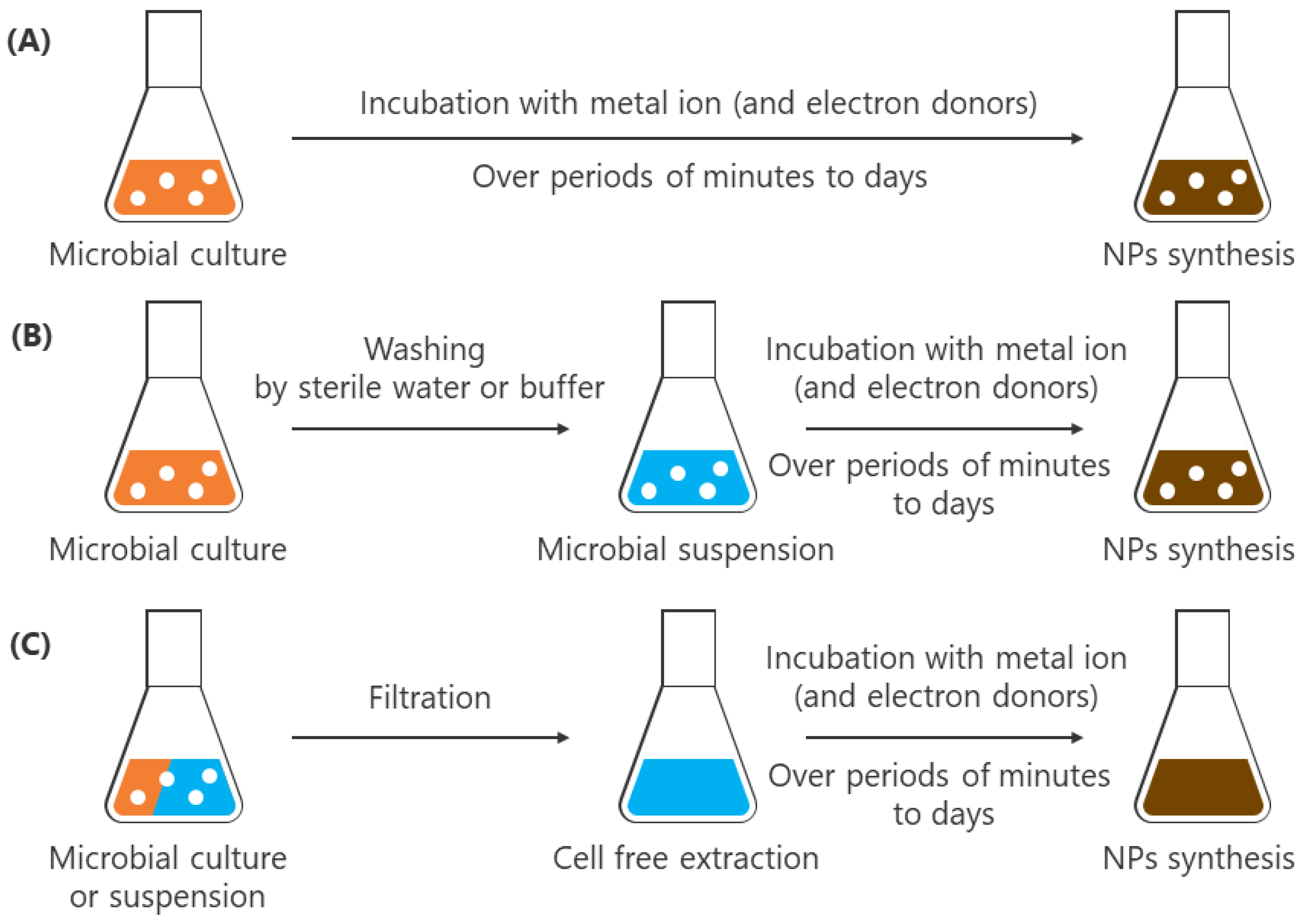 Crystals 10 00589 g004