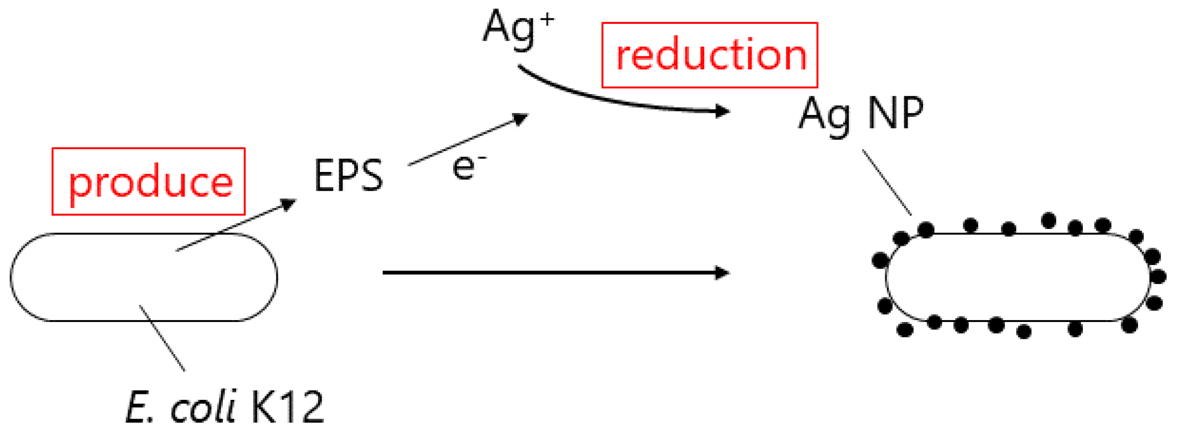 Crystals 10 00589 g005