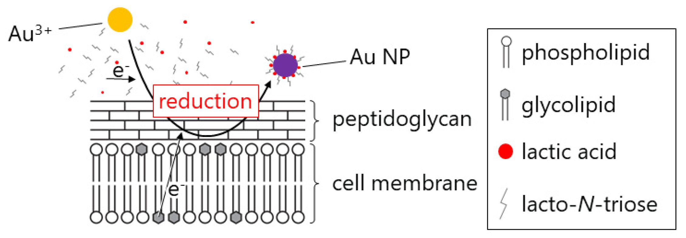 Crystals 10 00589 g006