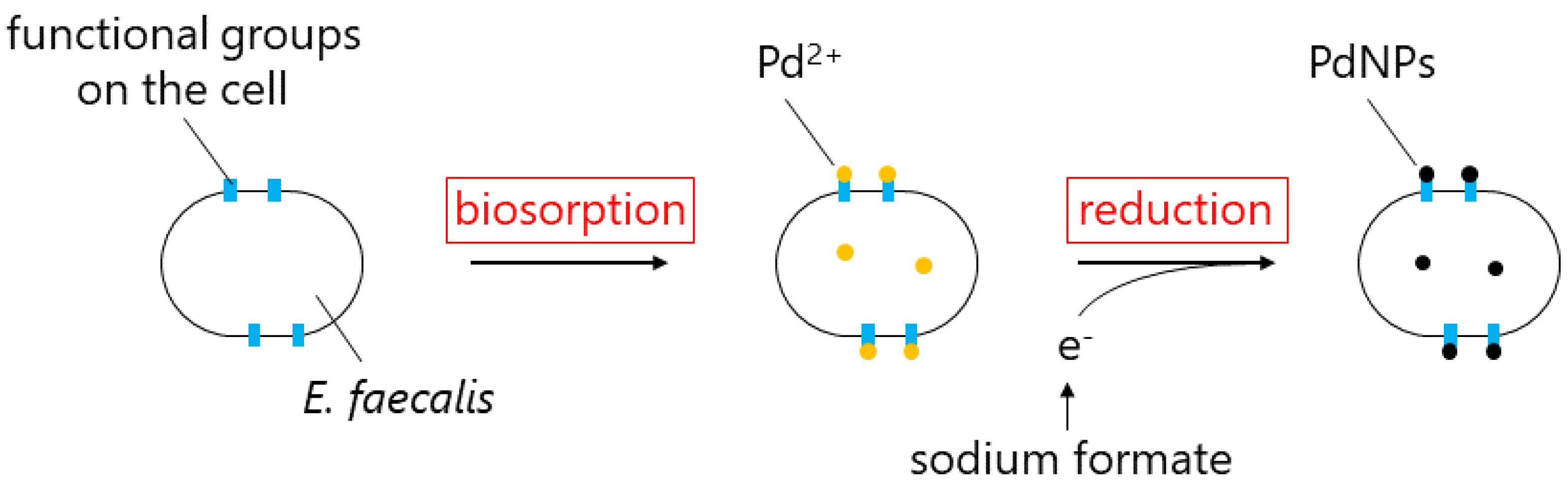 Crystals 10 00589 g009