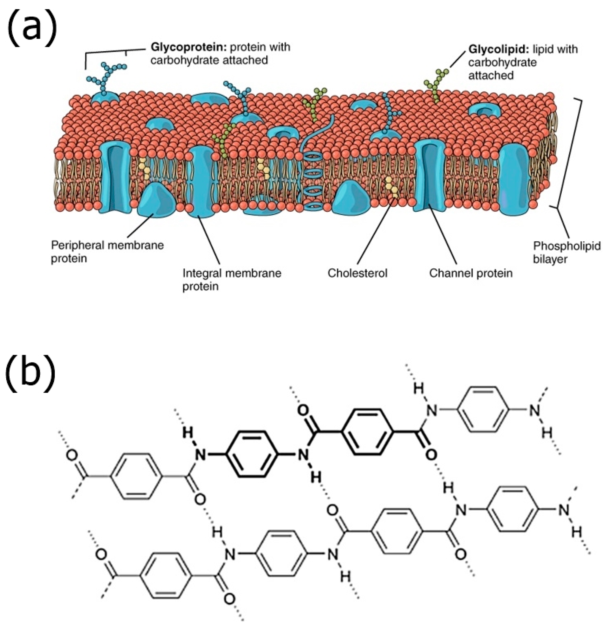 Crystals 10 00604 g003