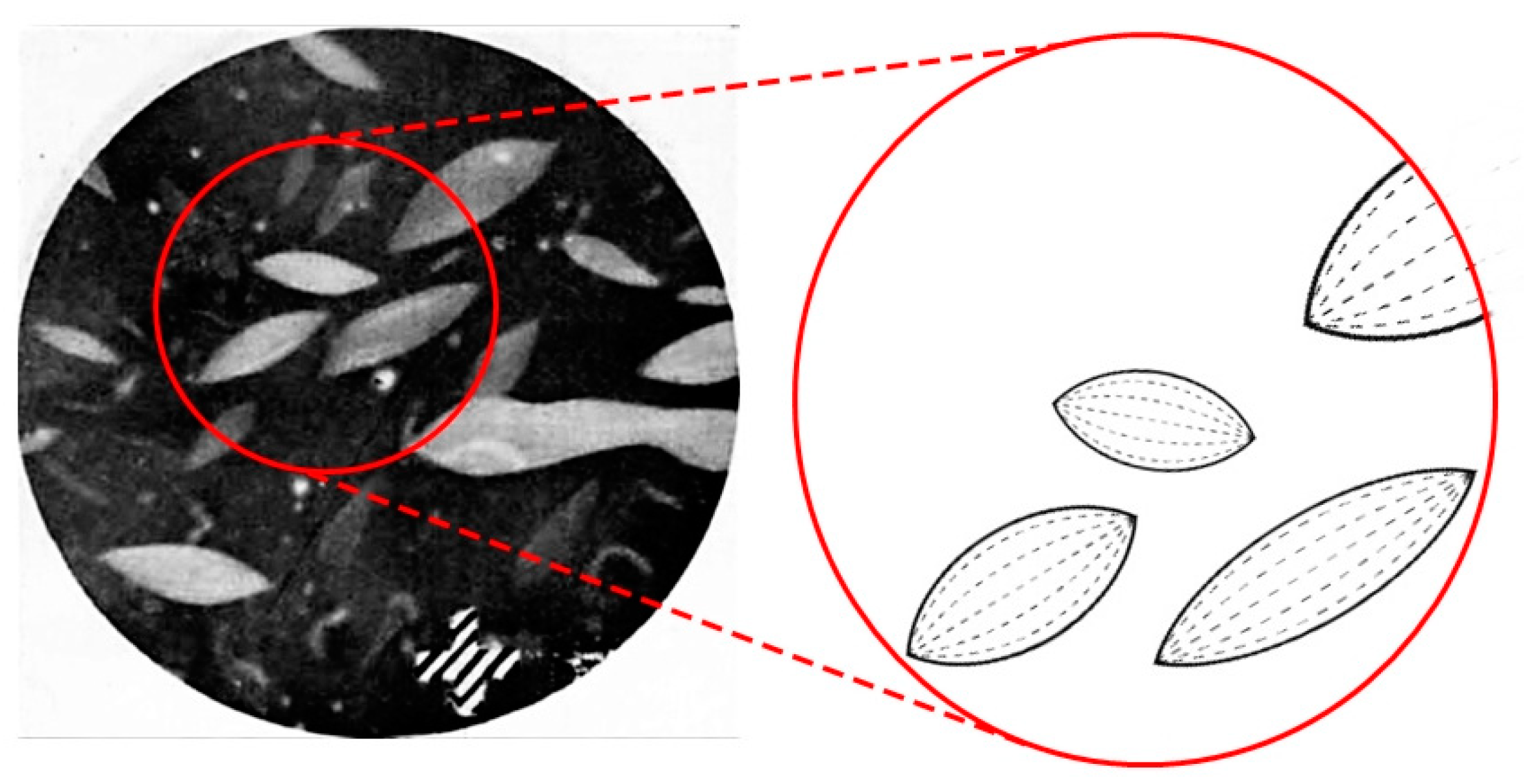 Crystals 10 00604 g004