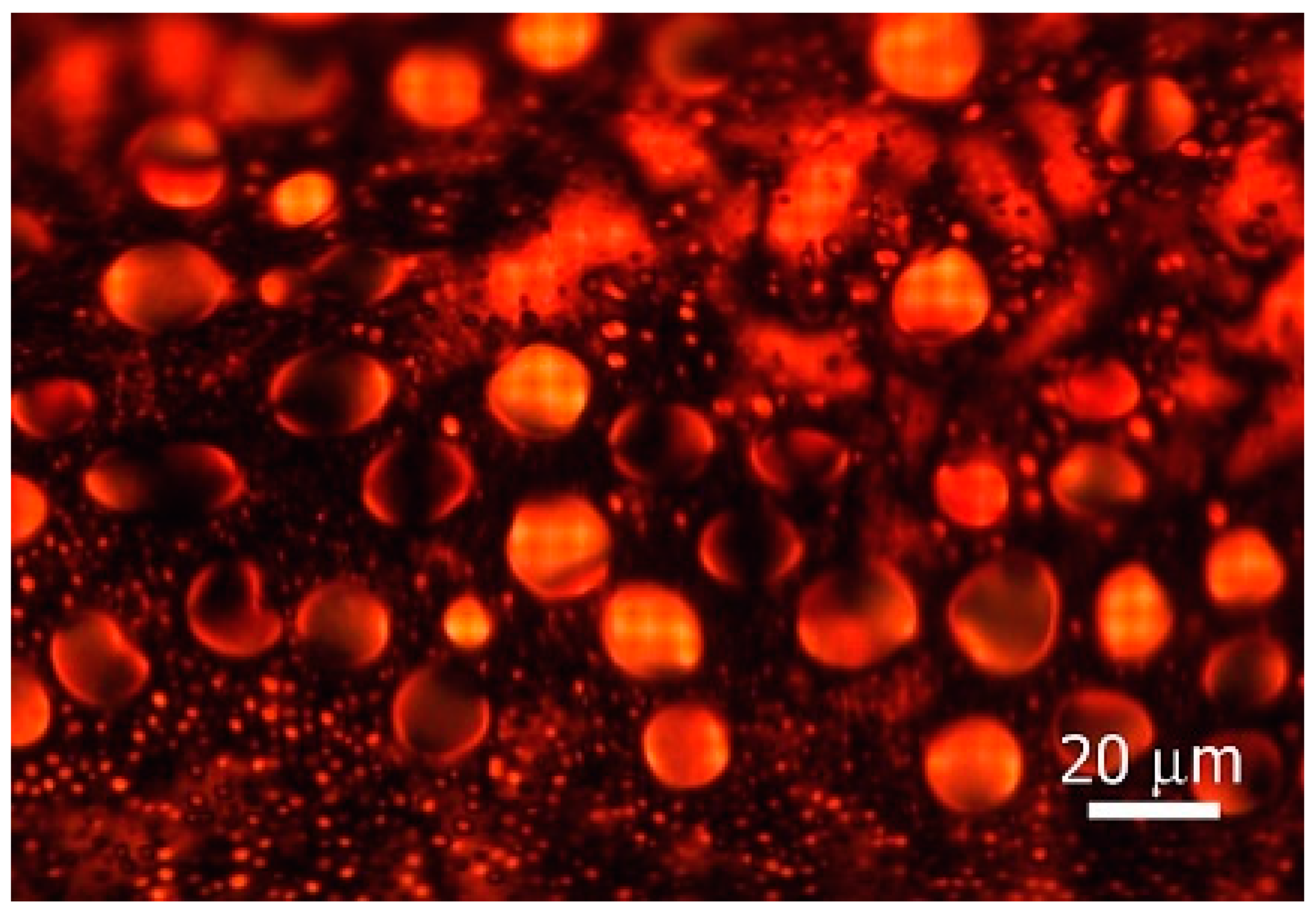 Crystals 10 00604 g009