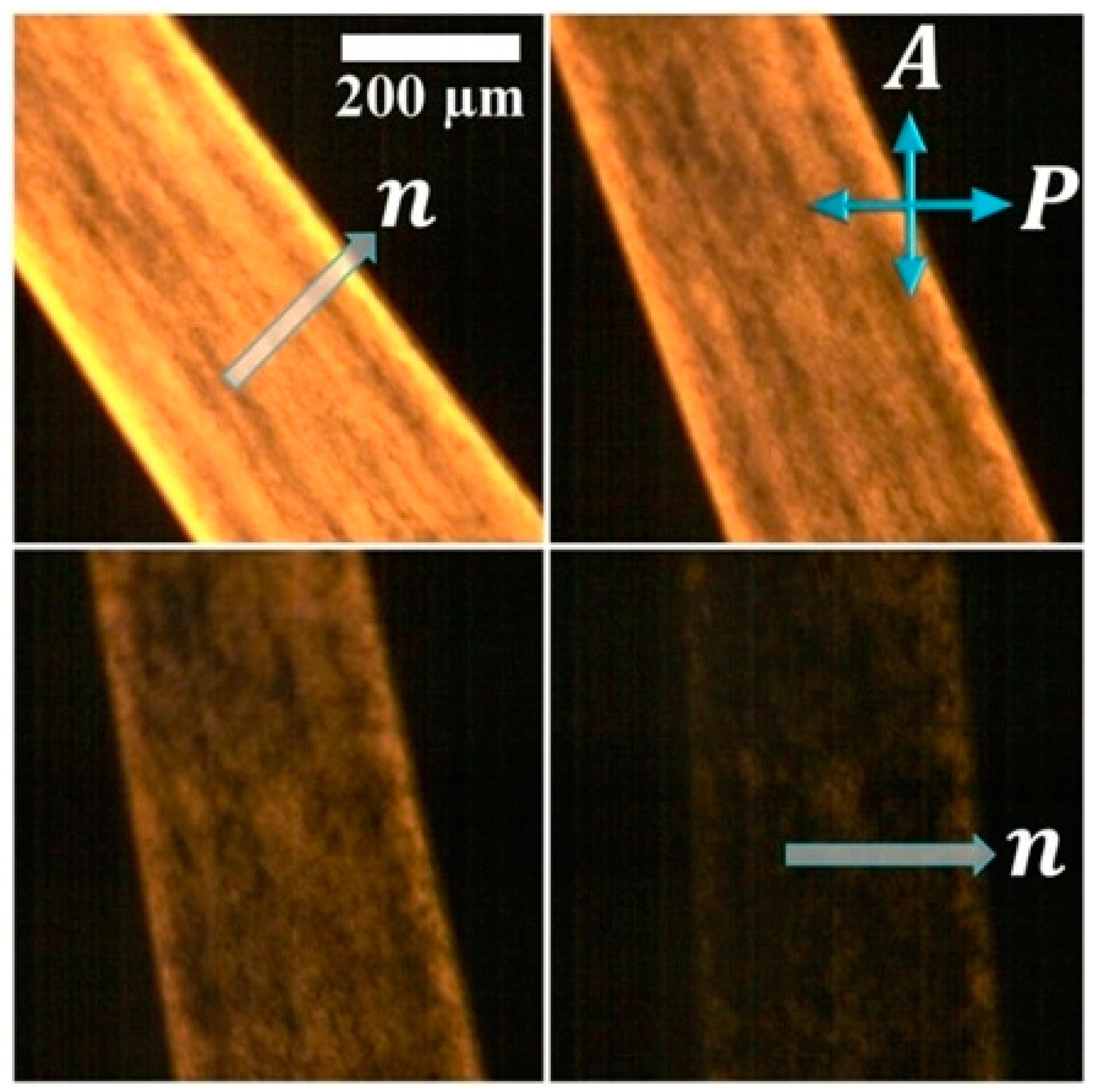 Crystals 10 00604 g010
