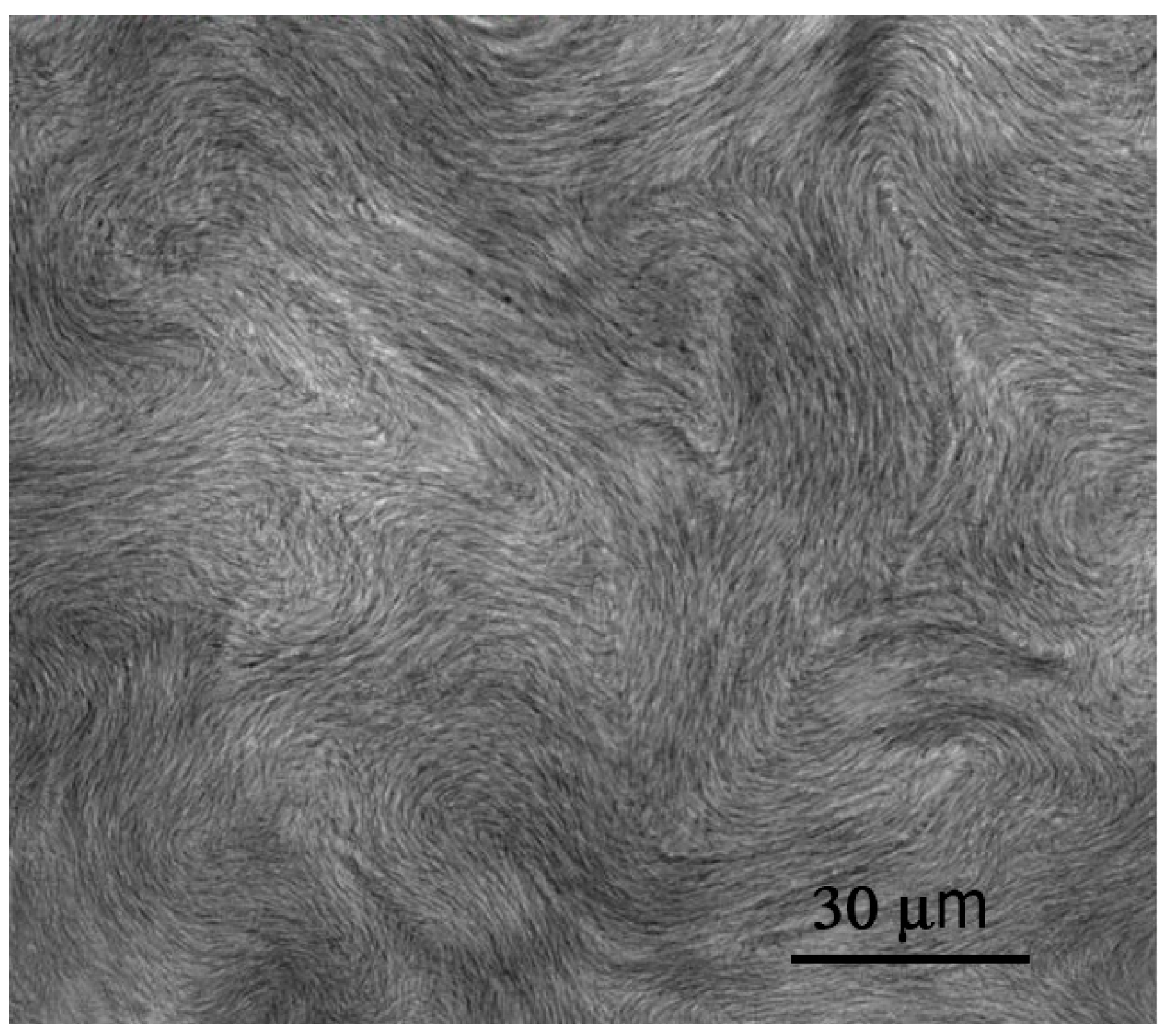 Crystals 10 00604 g013