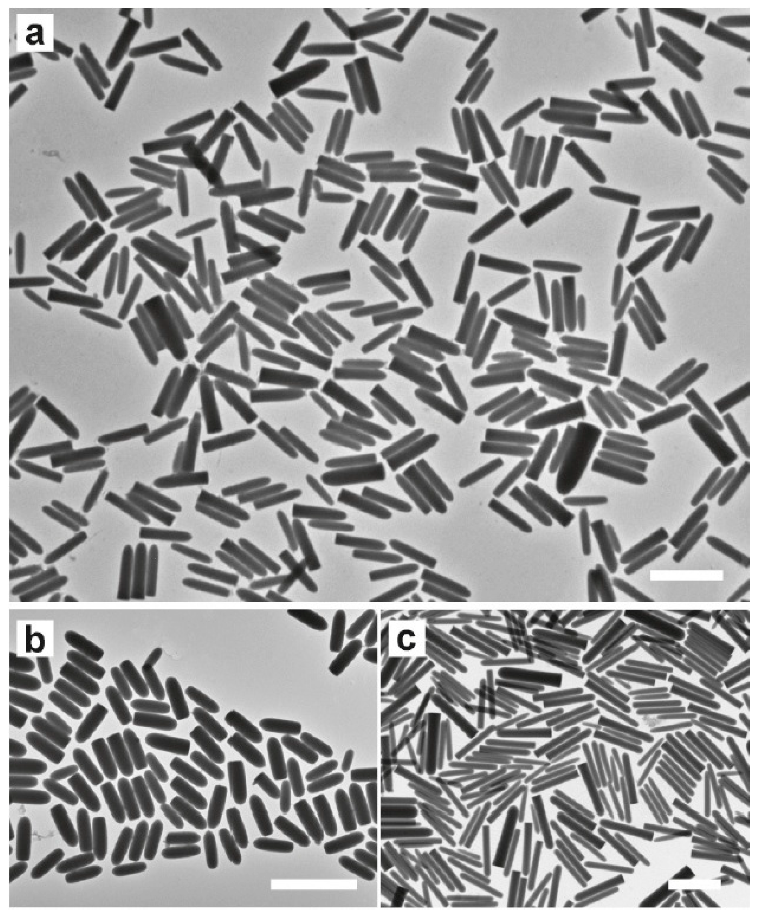 Crystals 10 00604 g014