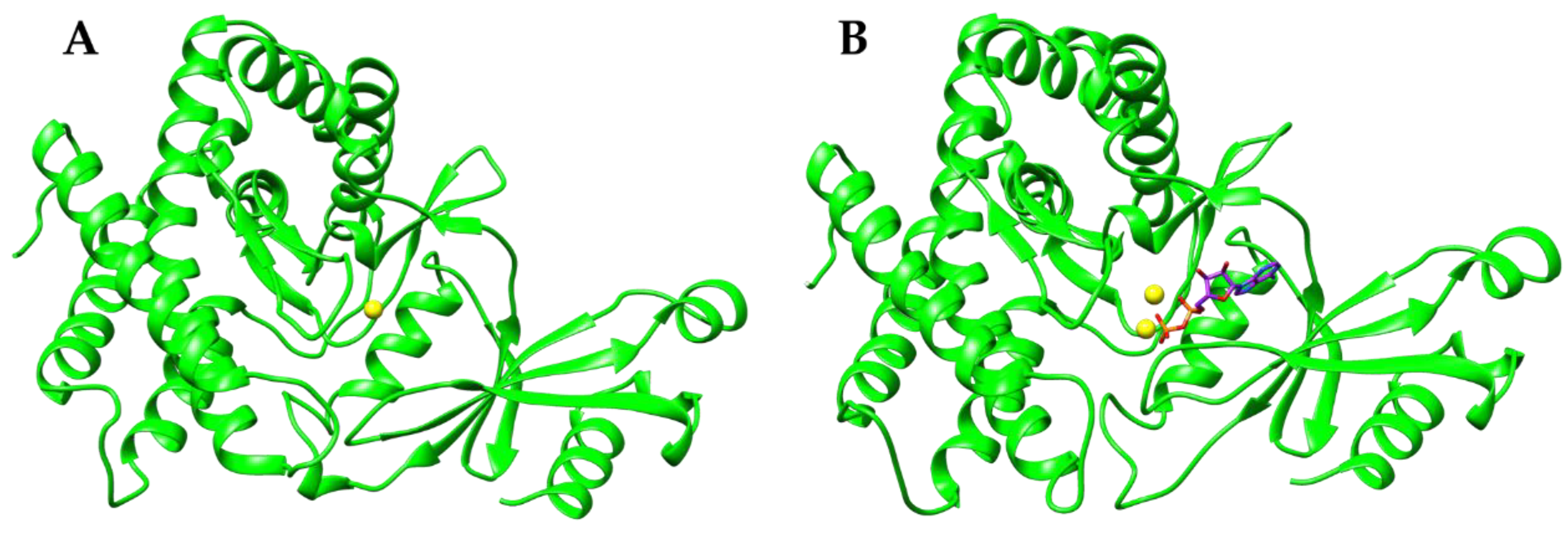 Crystals 10 00613 g002