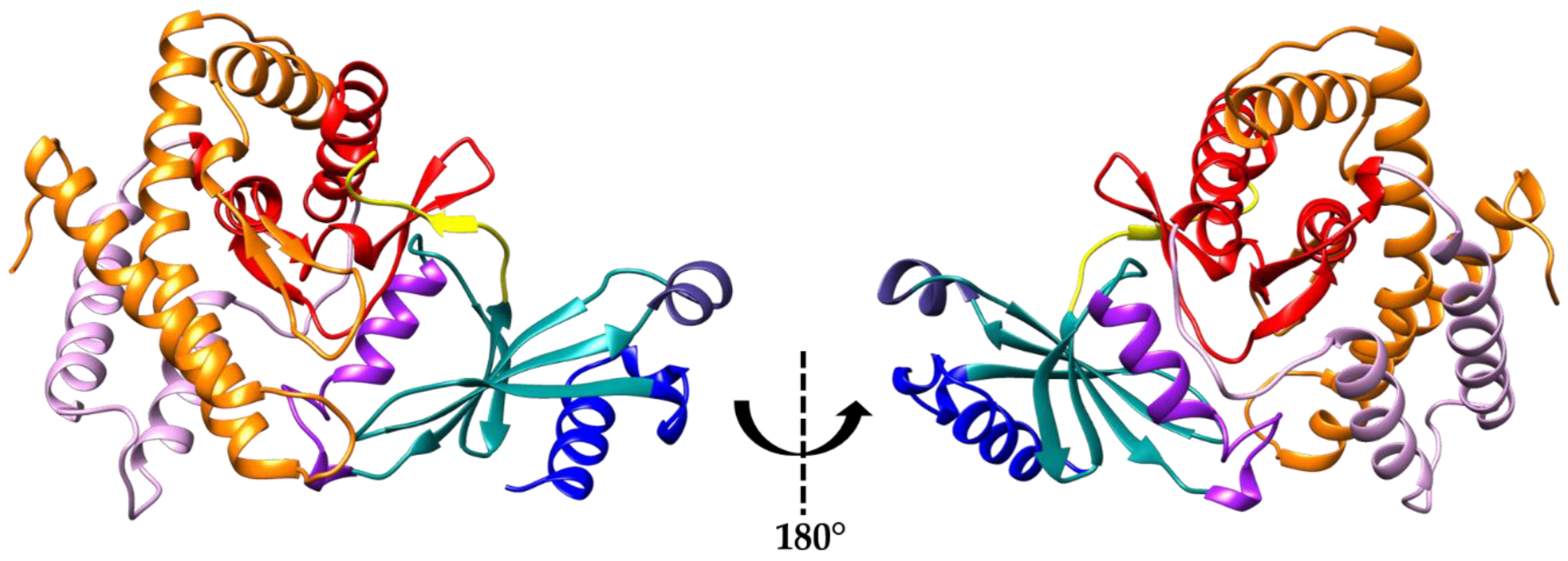 Crystals 10 00613 g003