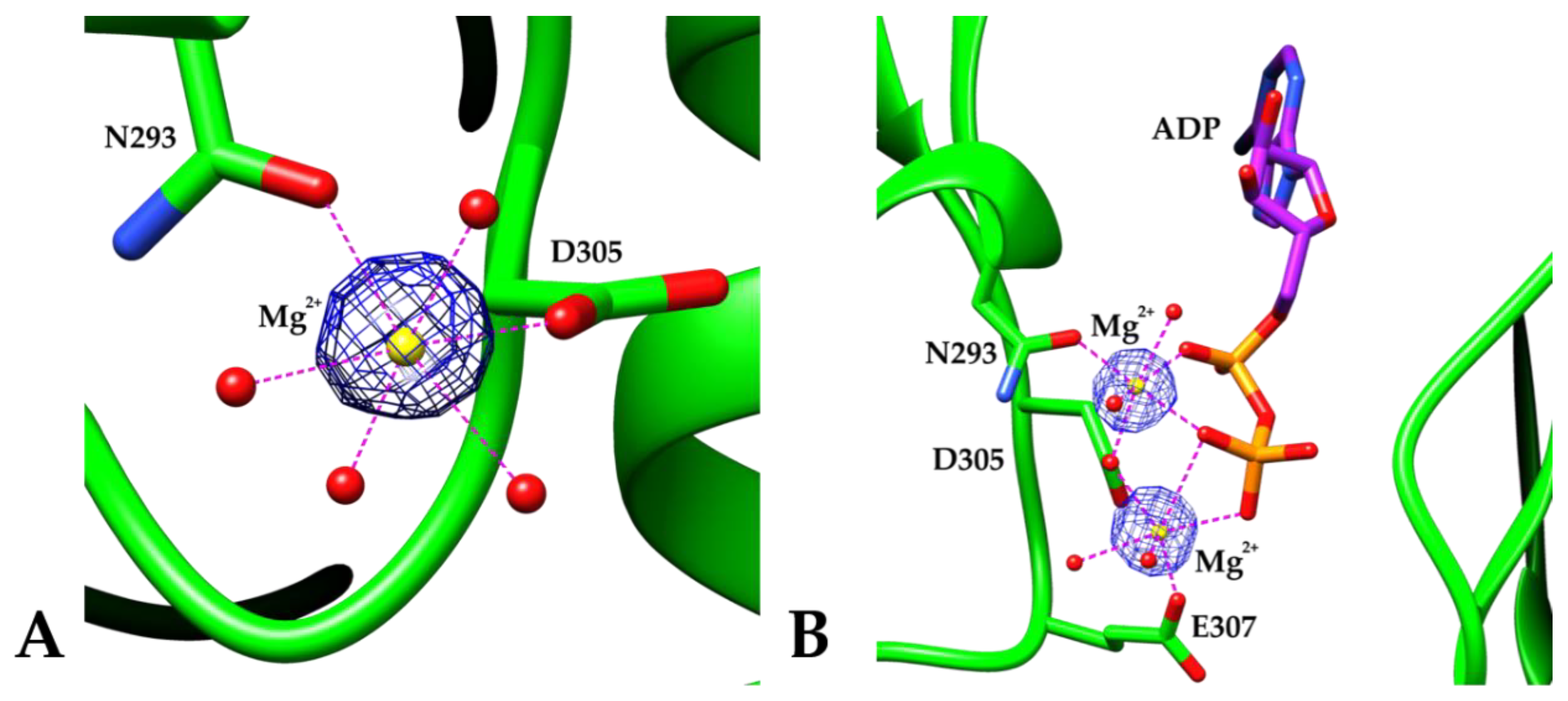 Crystals 10 00613 g005
