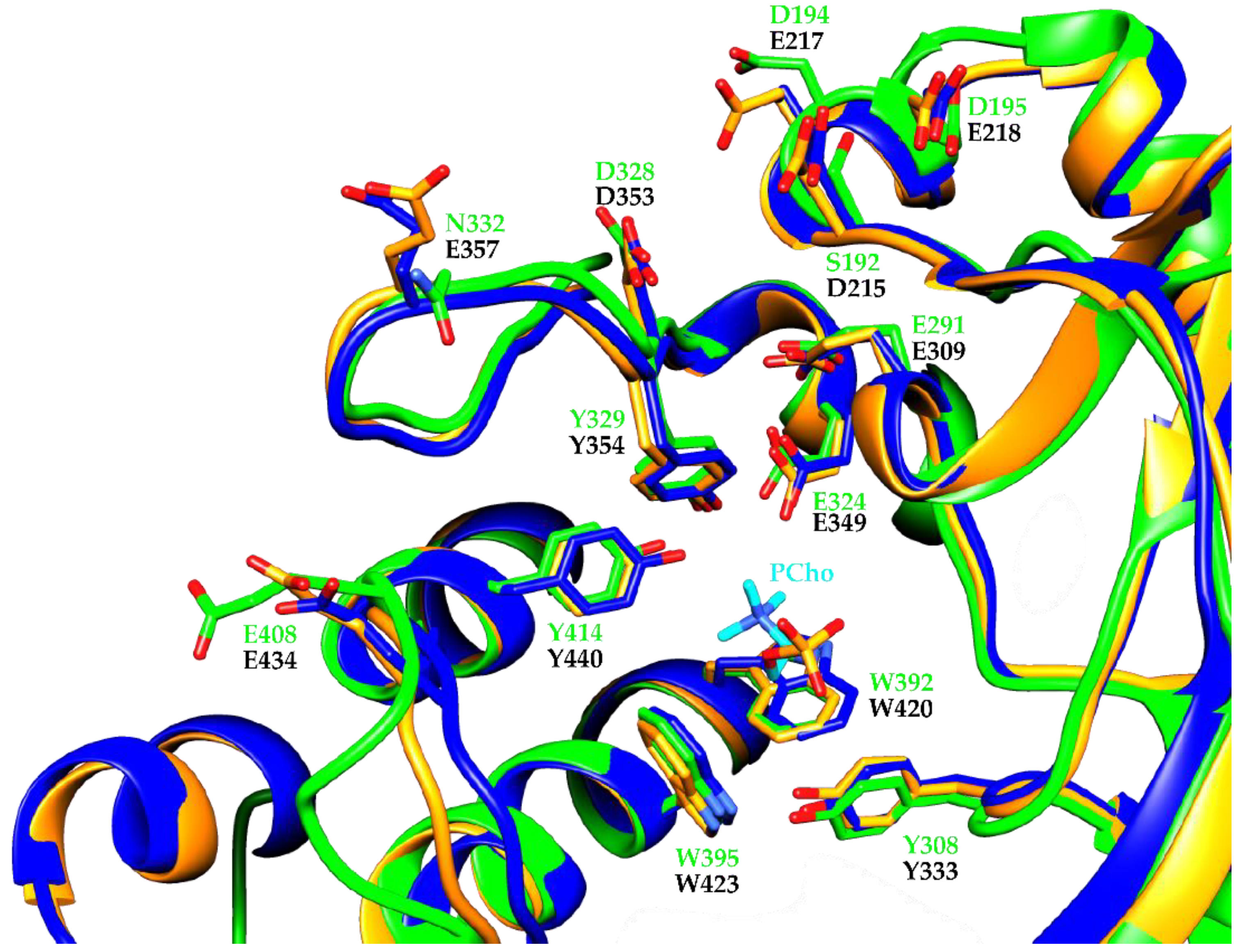 Crystals 10 00613 g008