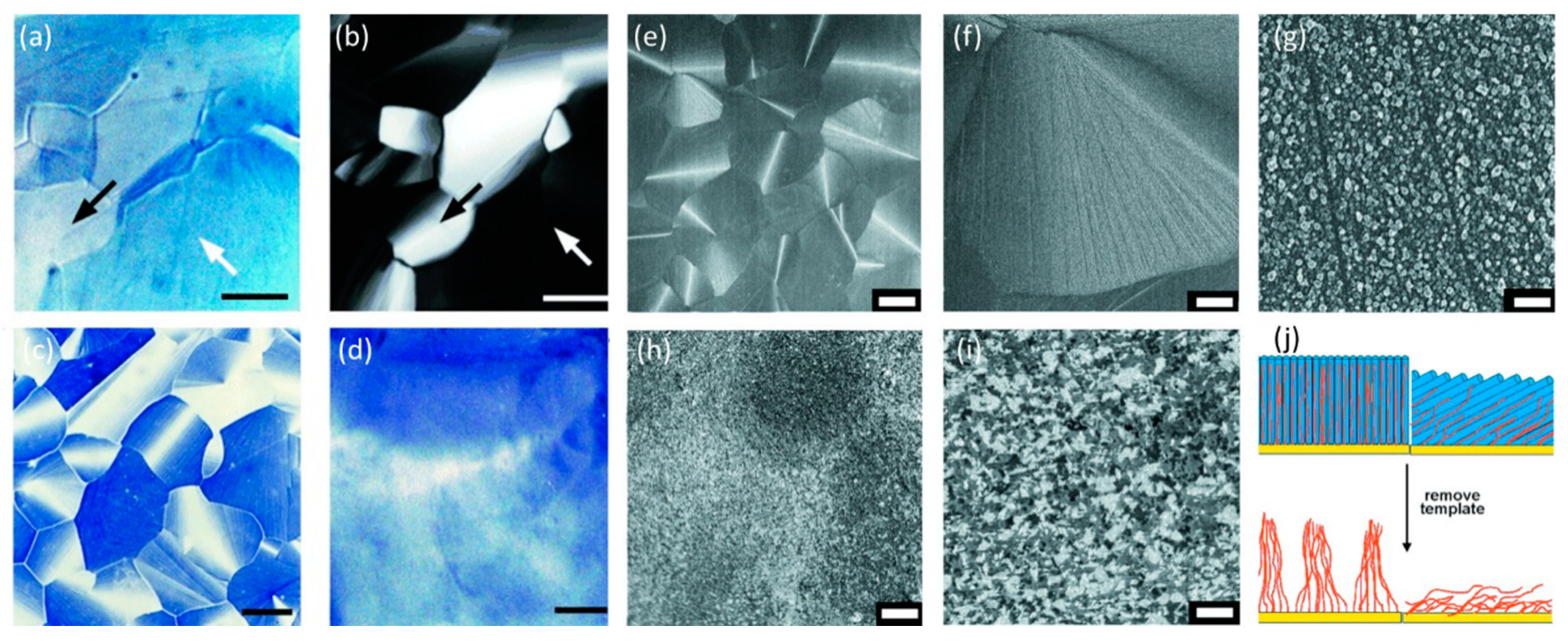 Crystals 10 00648 g005