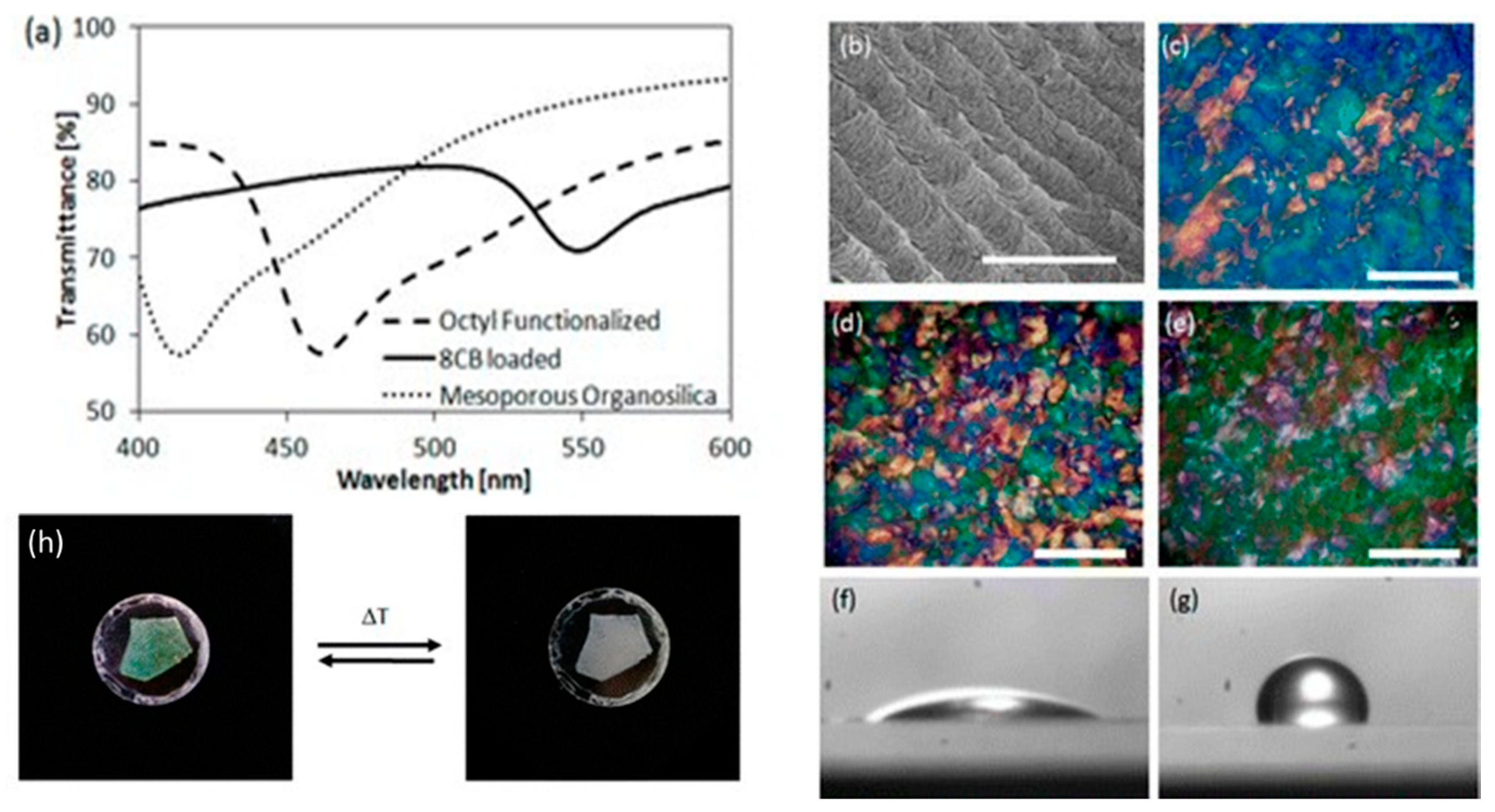 Crystals 10 00648 g007