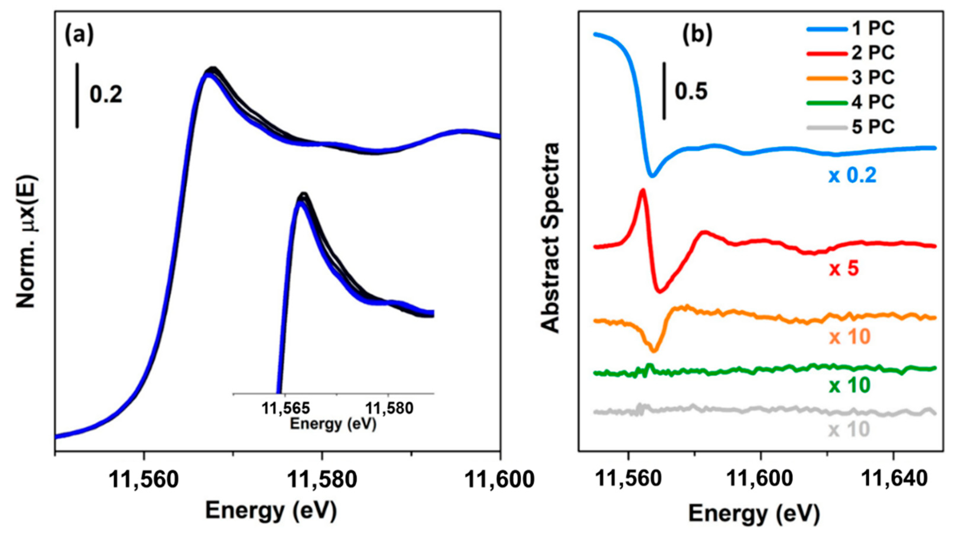 Crystals 10 00664 g004