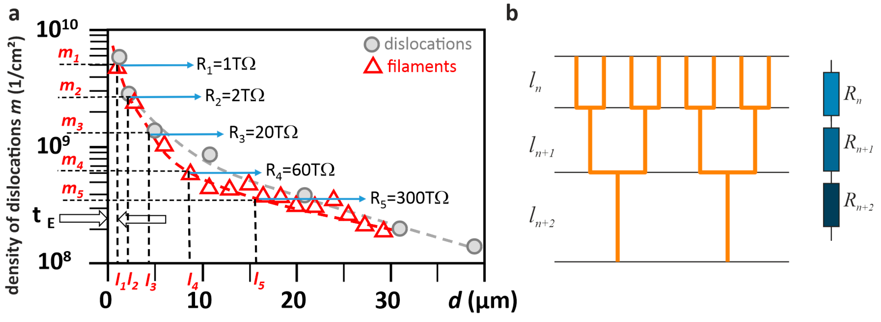 Crystals 10 00665 g007