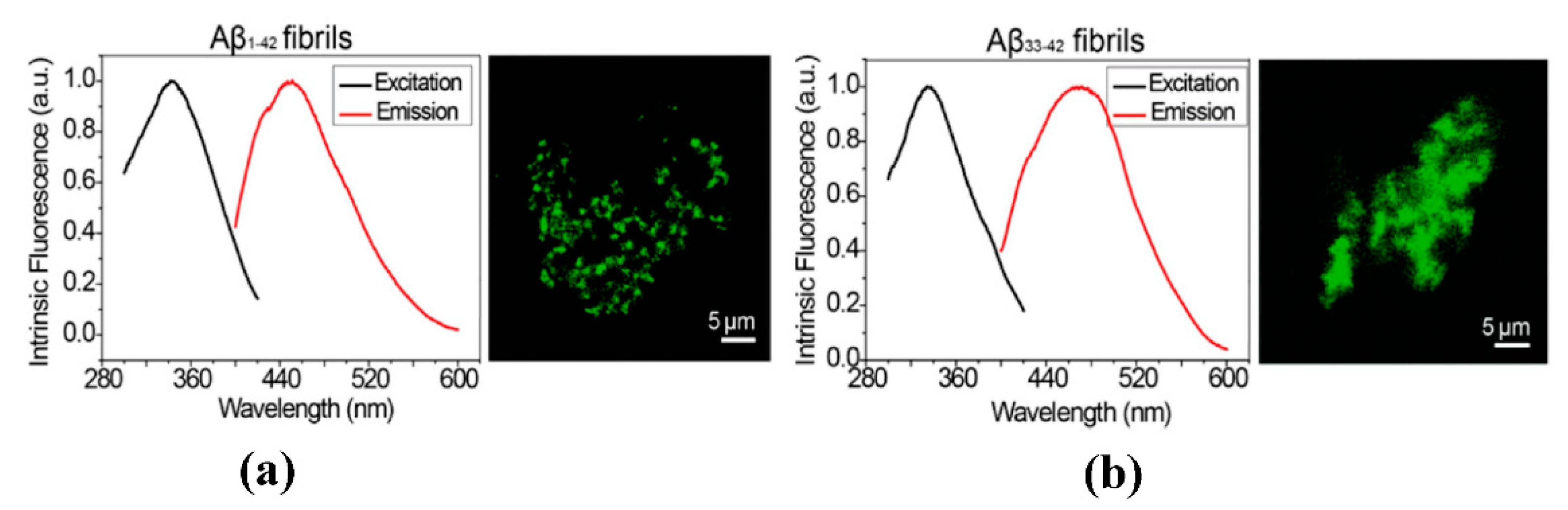 Crystals 10 00668 g004