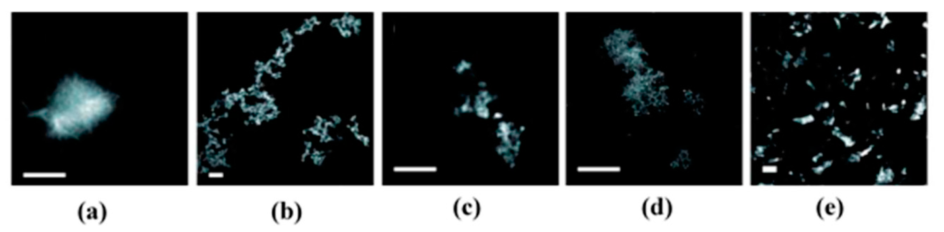 Crystals 10 00668 g005