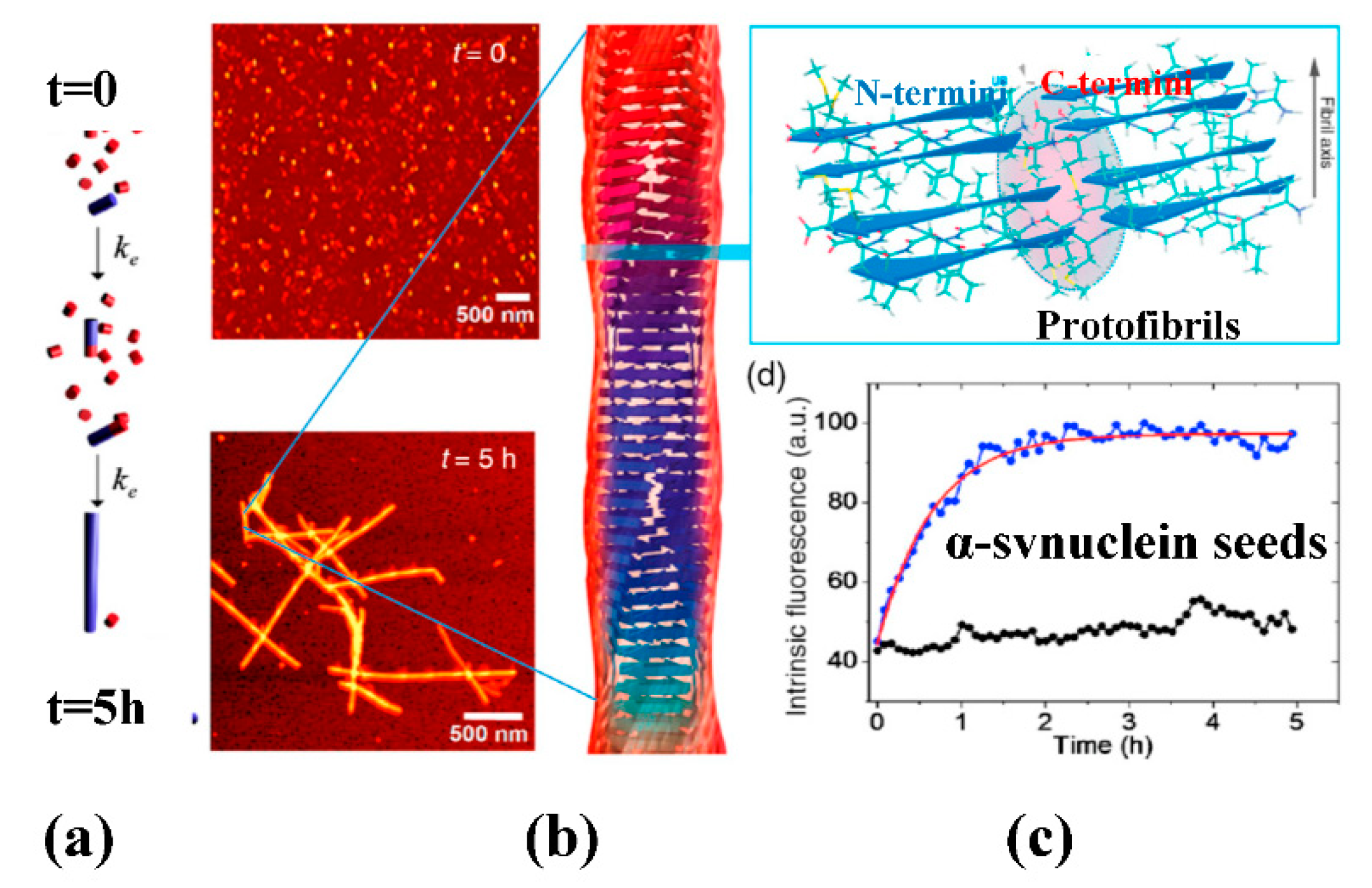 Crystals 10 00668 g006