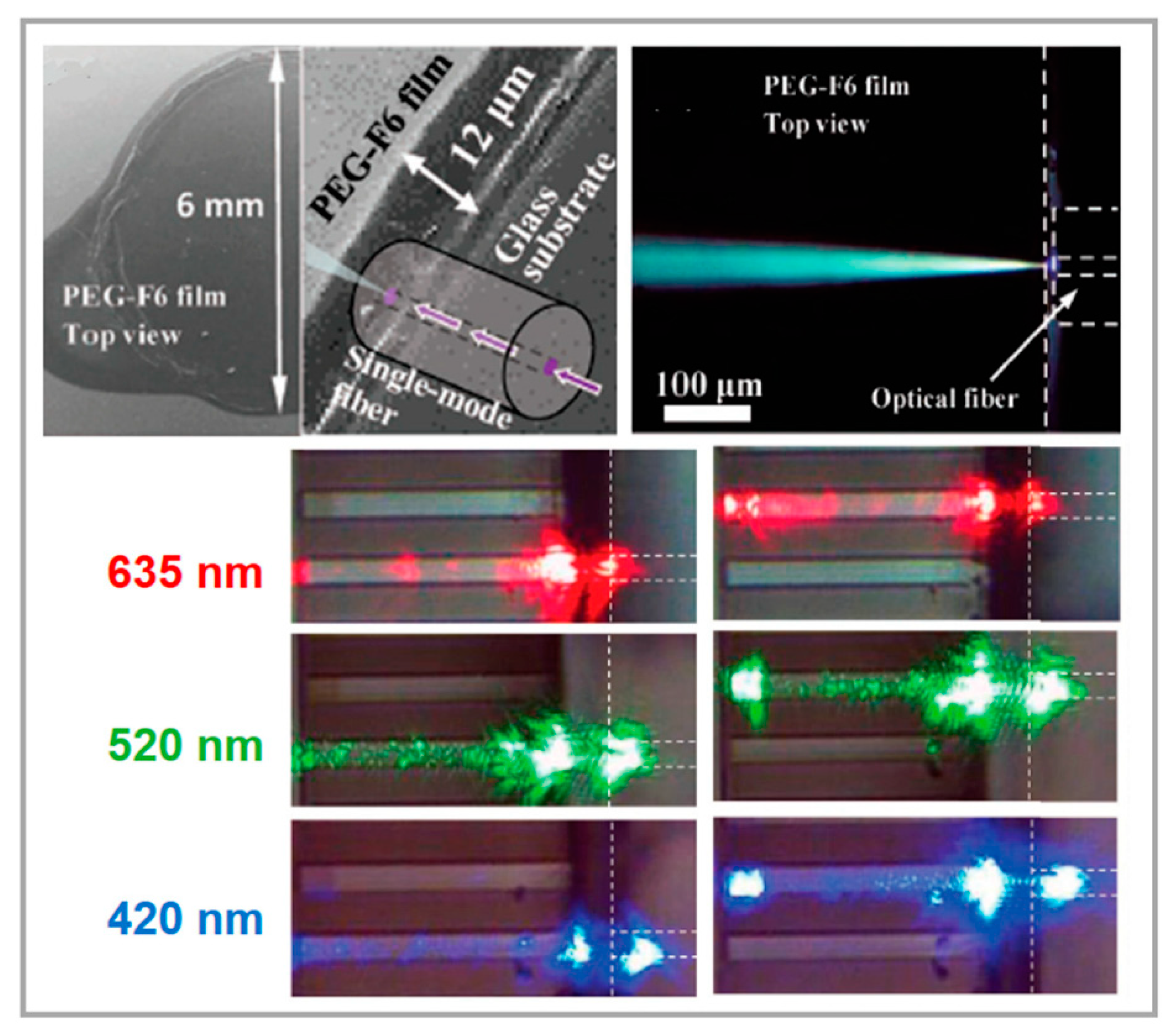 Crystals 10 00668 g012