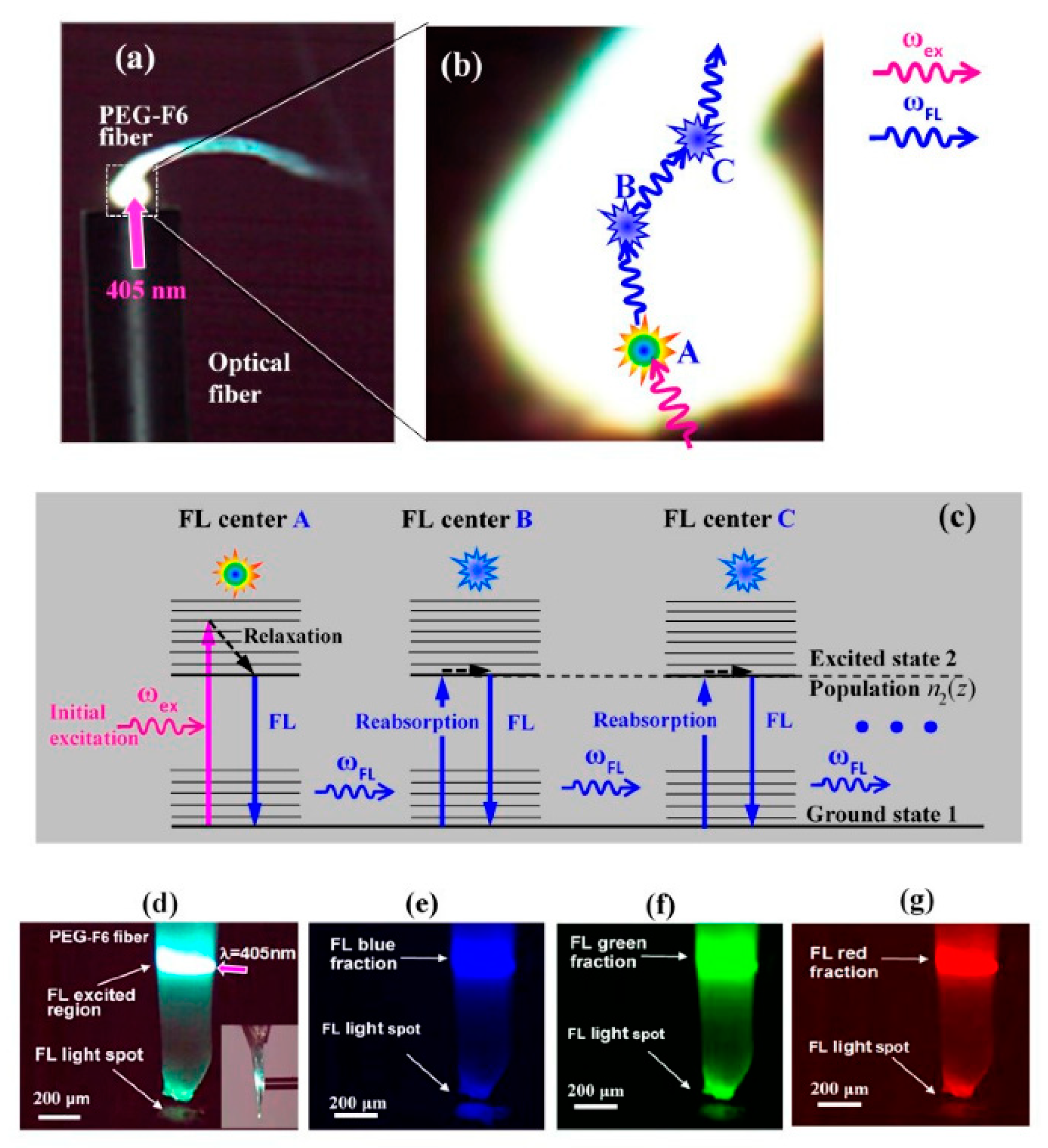 Crystals 10 00668 g014