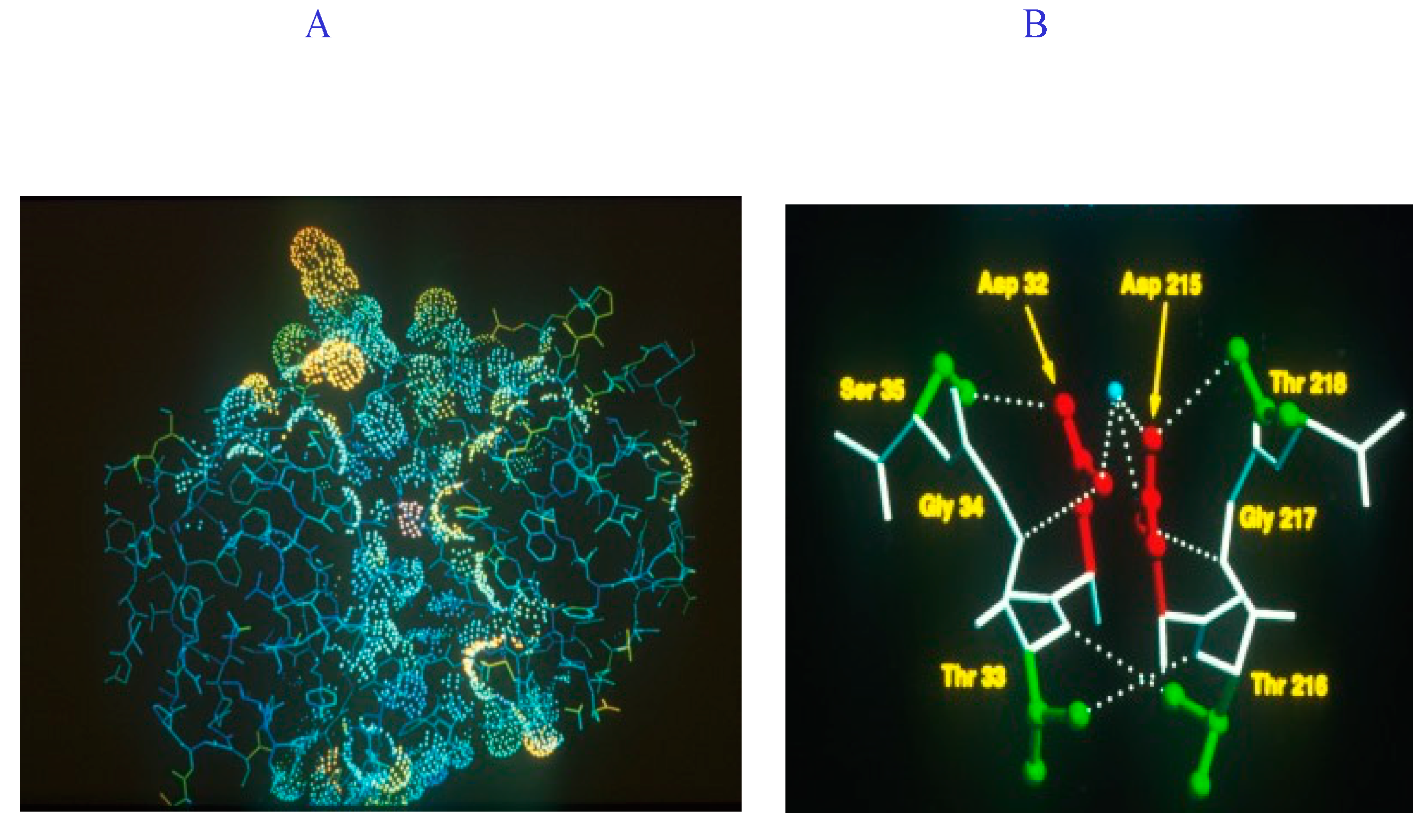 Crystals 10 00676 g003