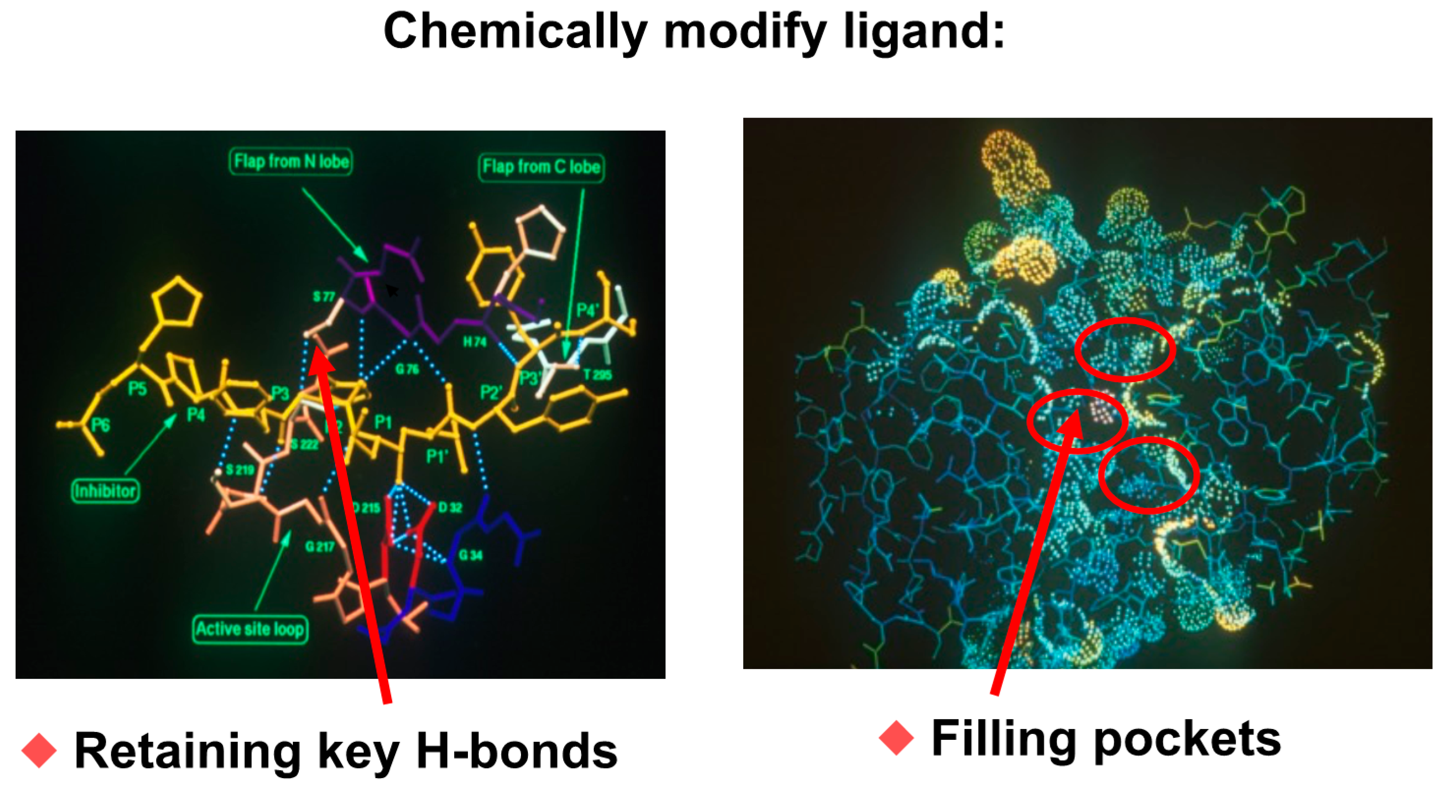 Crystals 10 00676 g005