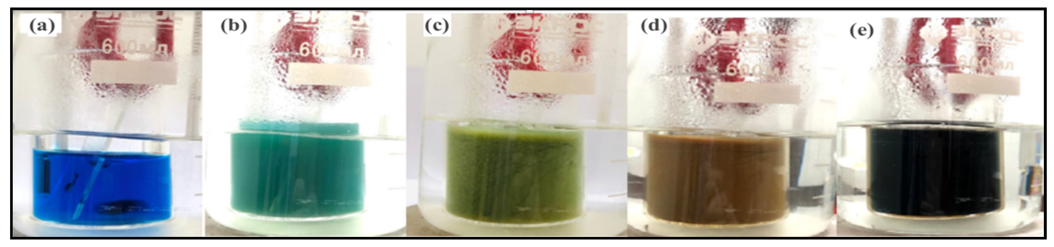 Crystals 10 00684 g001