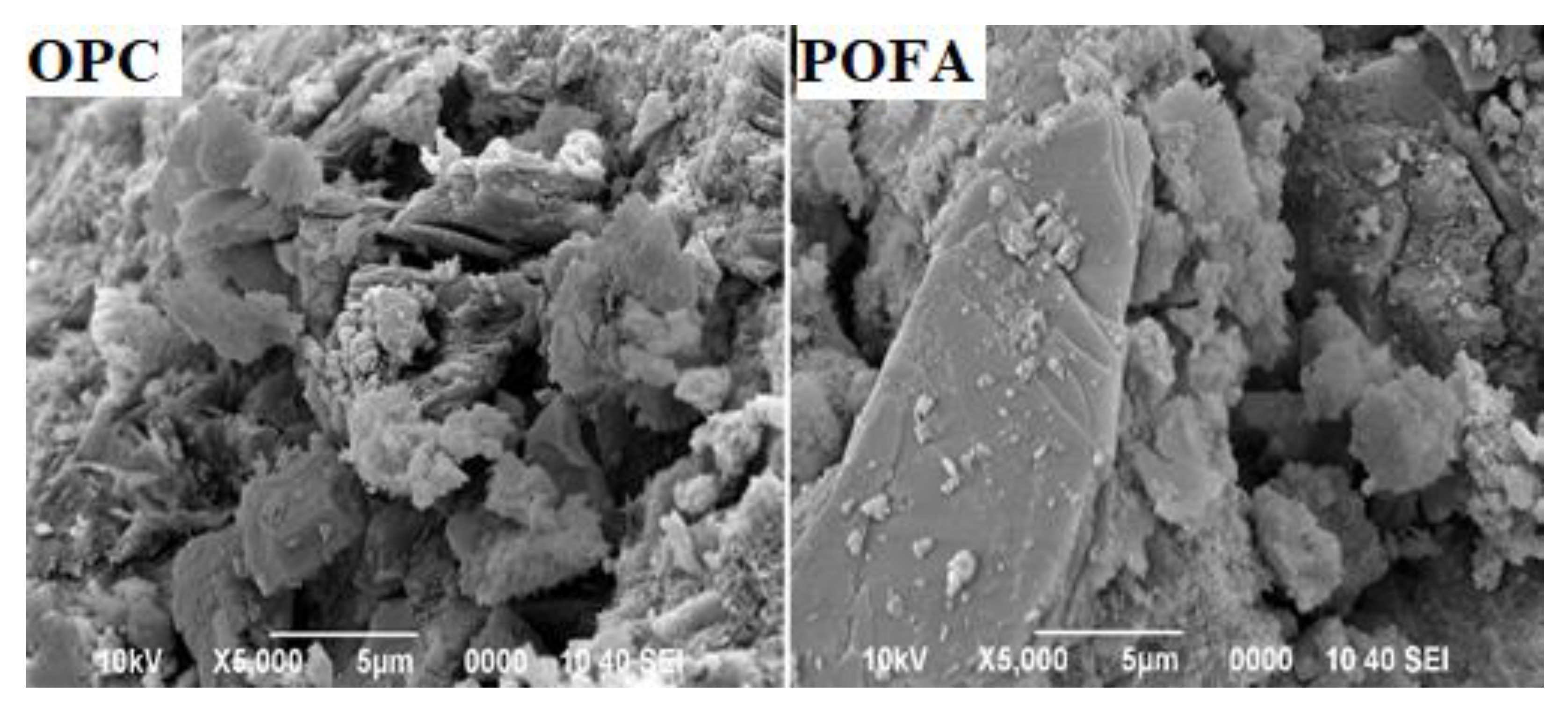 Crystals 10 00696 g005