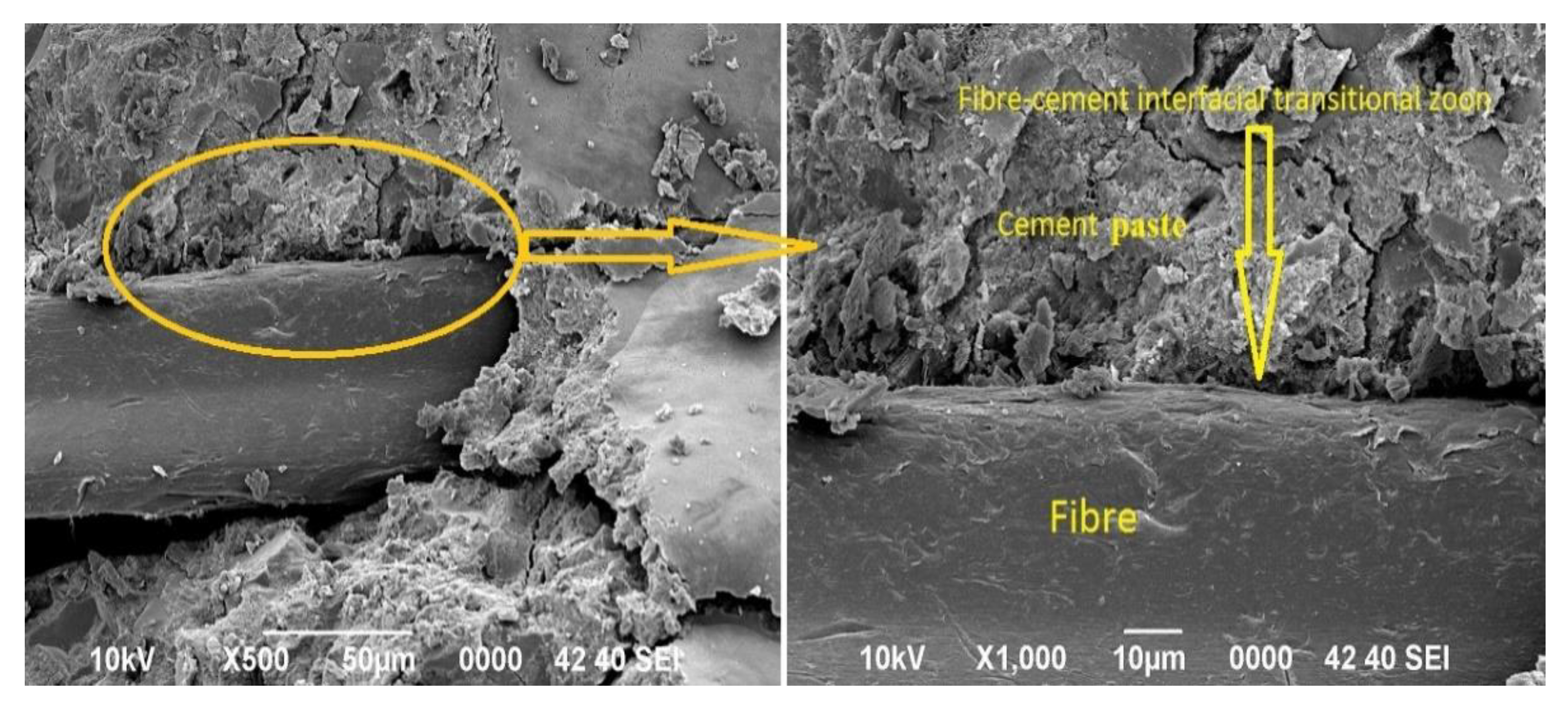 Crystals 10 00696 g006