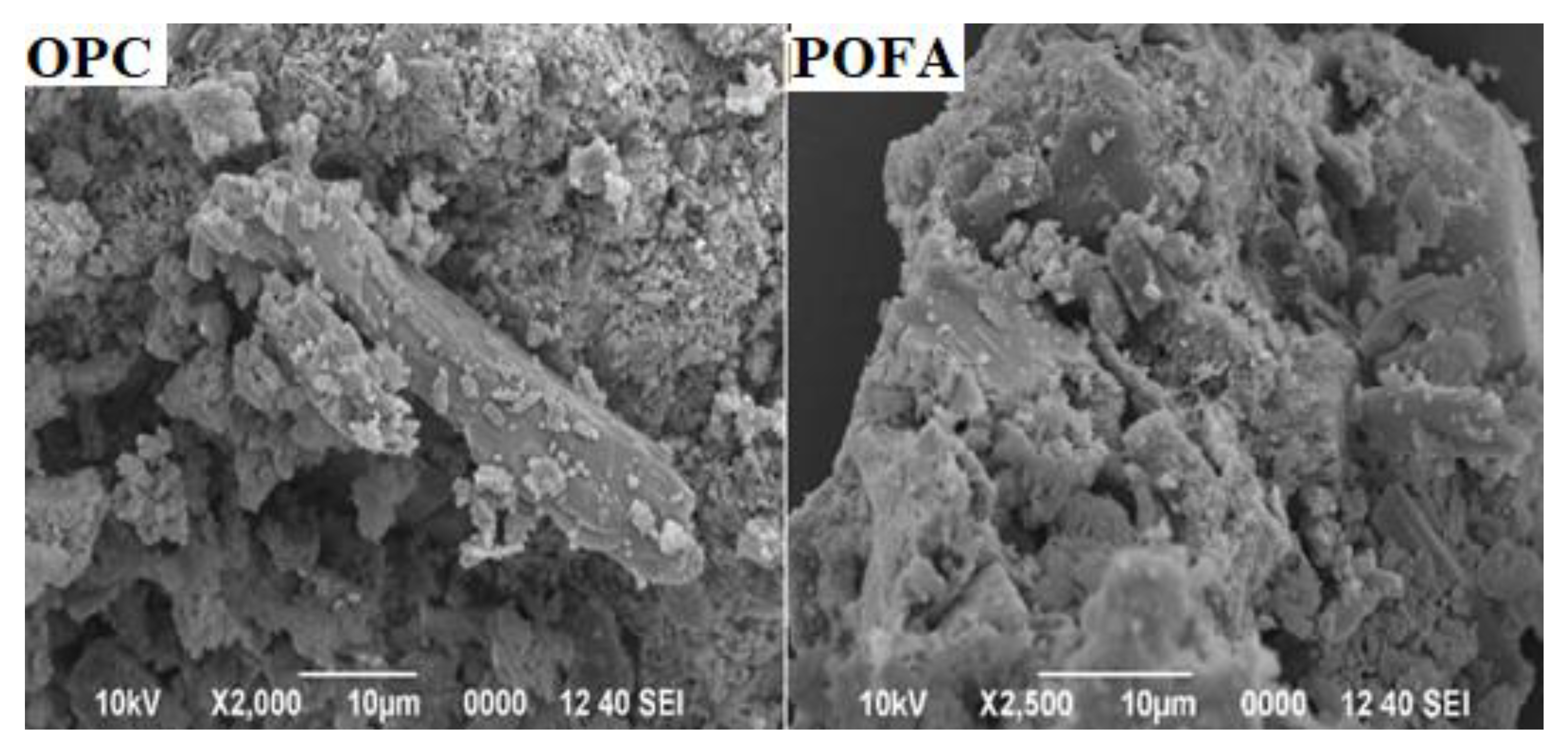 Crystals 10 00696 g017