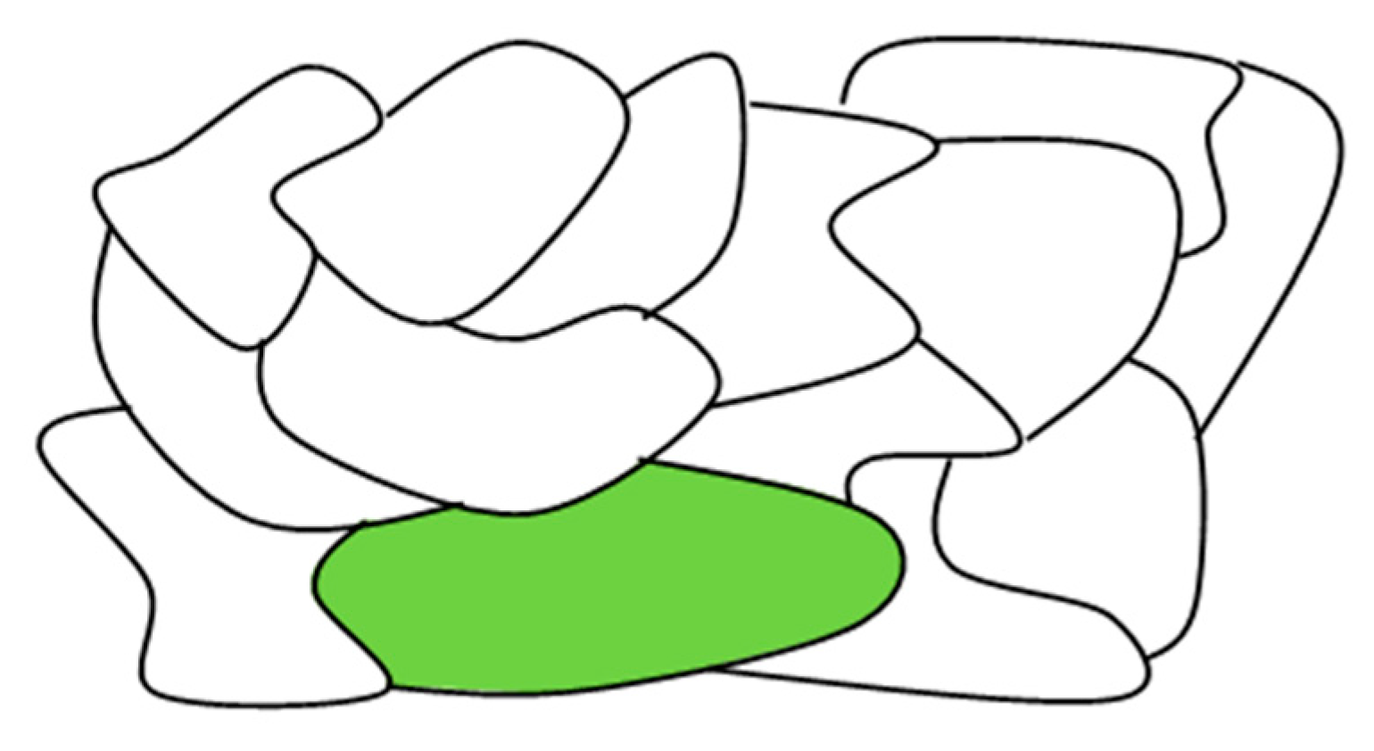 Crystals 10 00697 g004