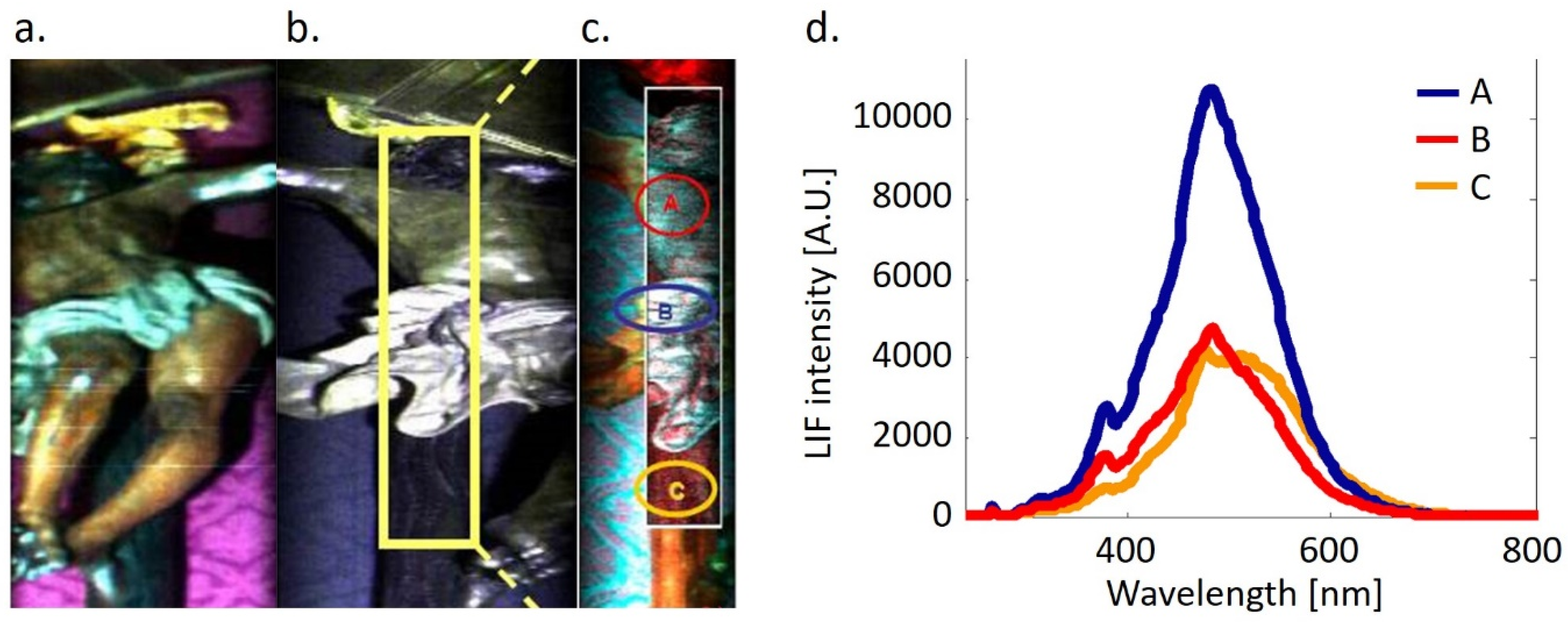 Crystals 10 00708 g005