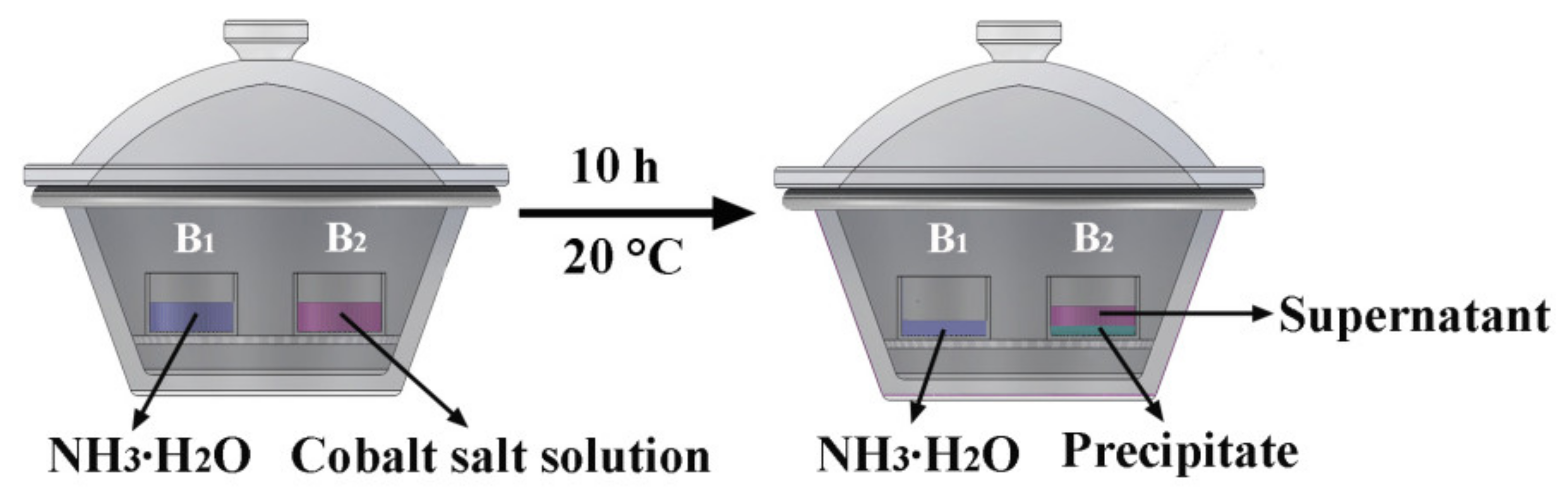 Crystals 10 00720 g001