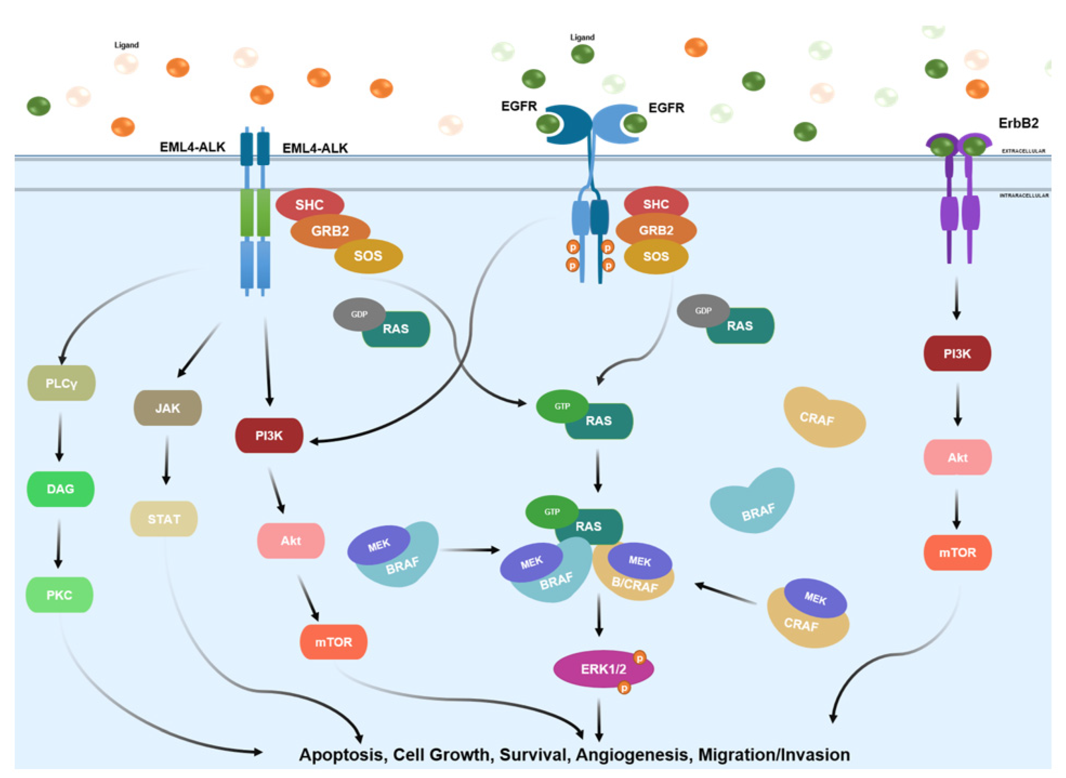 Crystals 10 00725 g002 Crystals 10 00725 g002