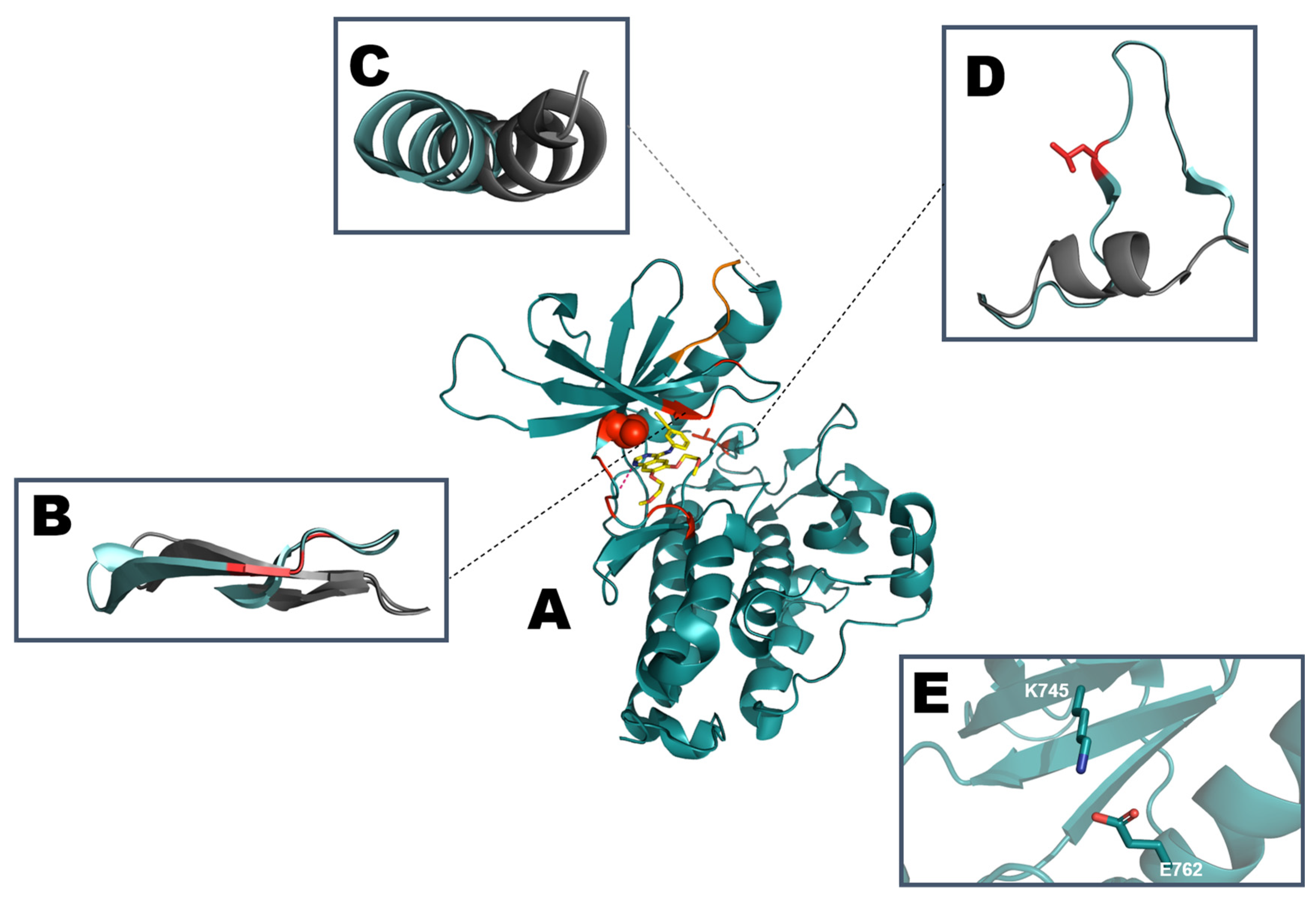 Crystals 10 00725 g003 Crystals 10 00725 g003