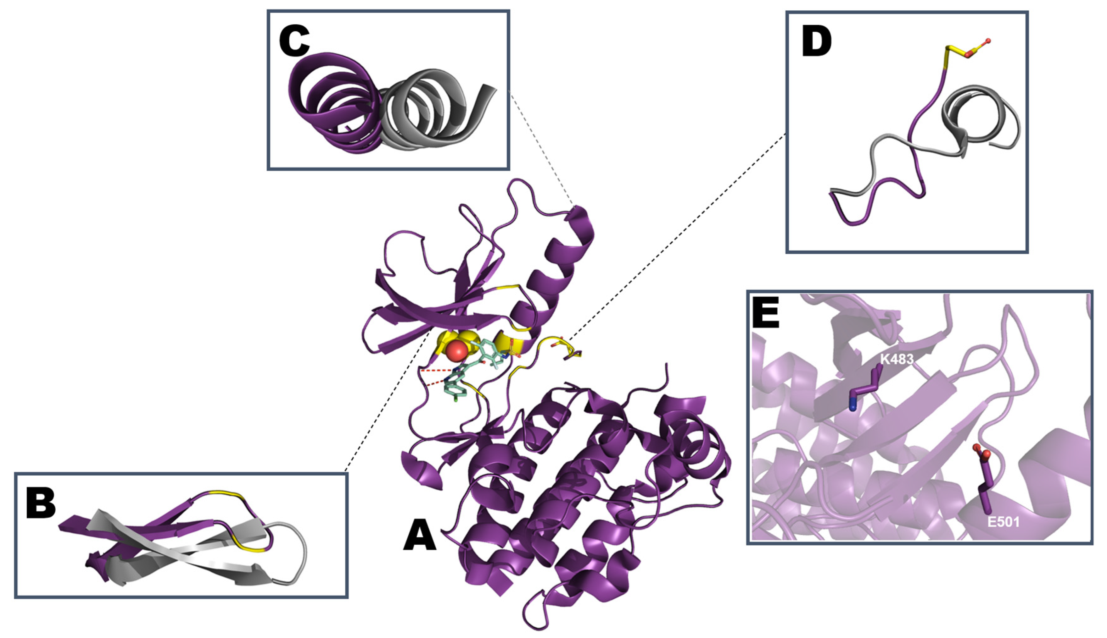 Crystals 10 00725 g009 Crystals 10 00725 g009