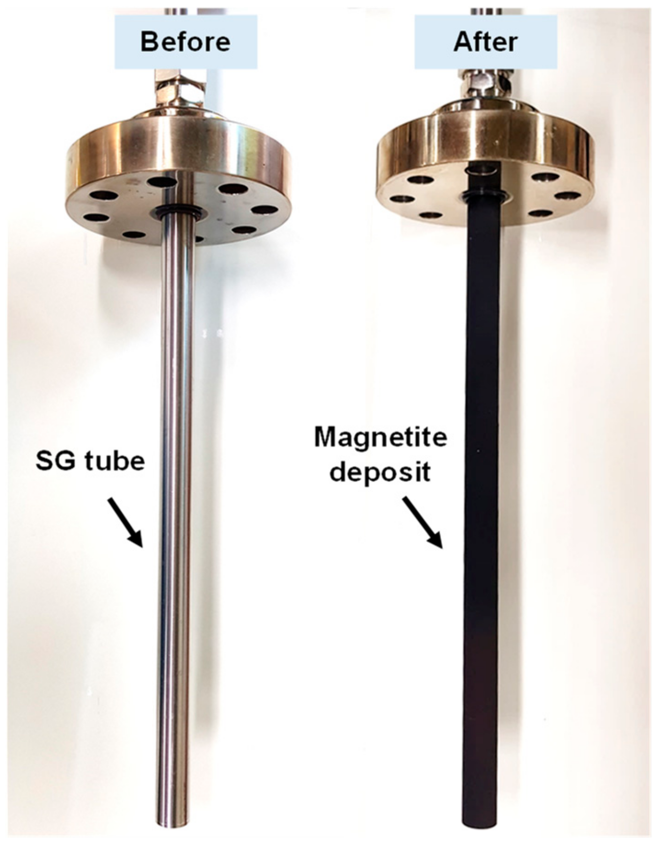 Crystals 10 00729 g005 Crystals 10 00729 g005