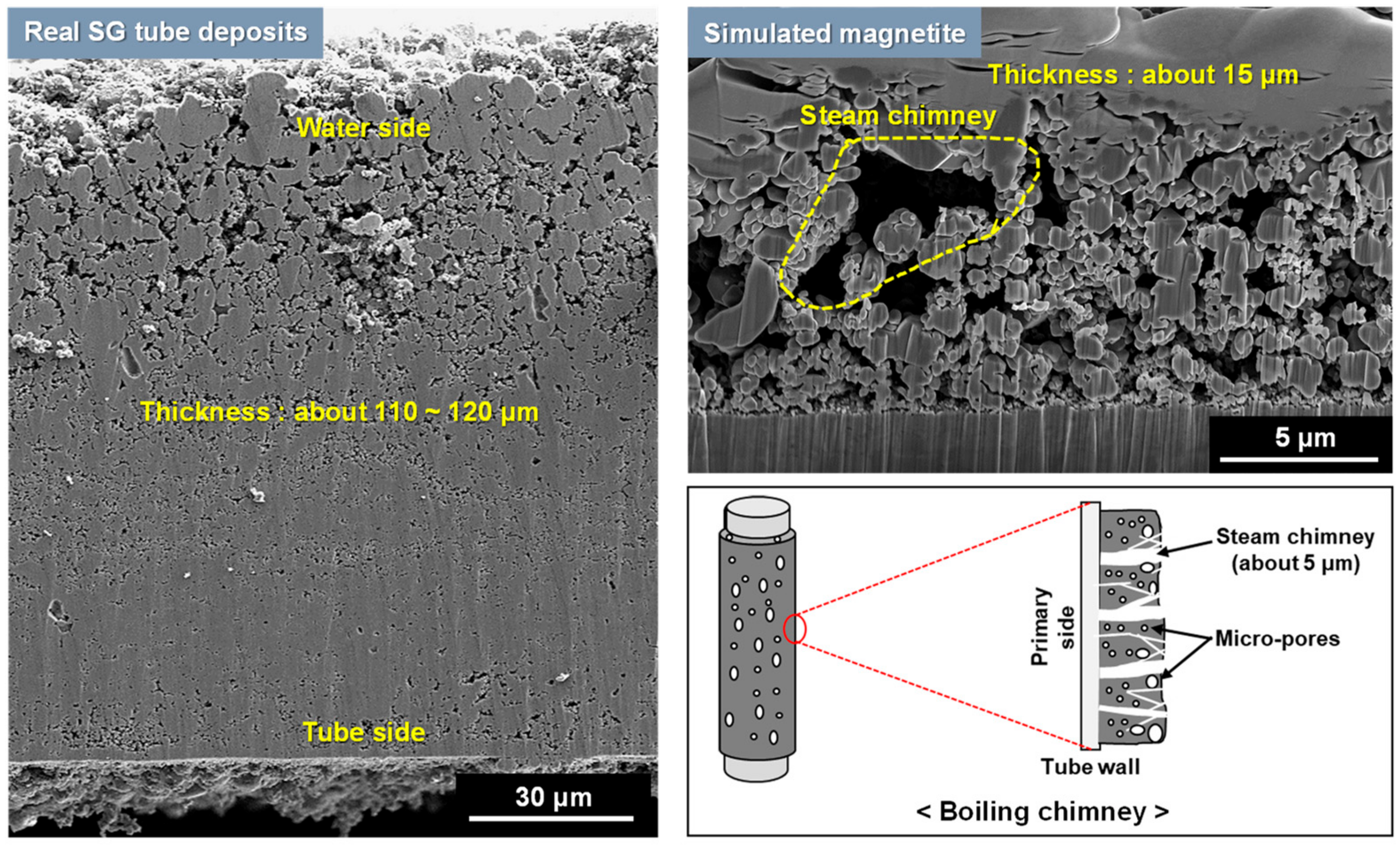 Crystals 10 00729 g008 Crystals 10 00729 g008