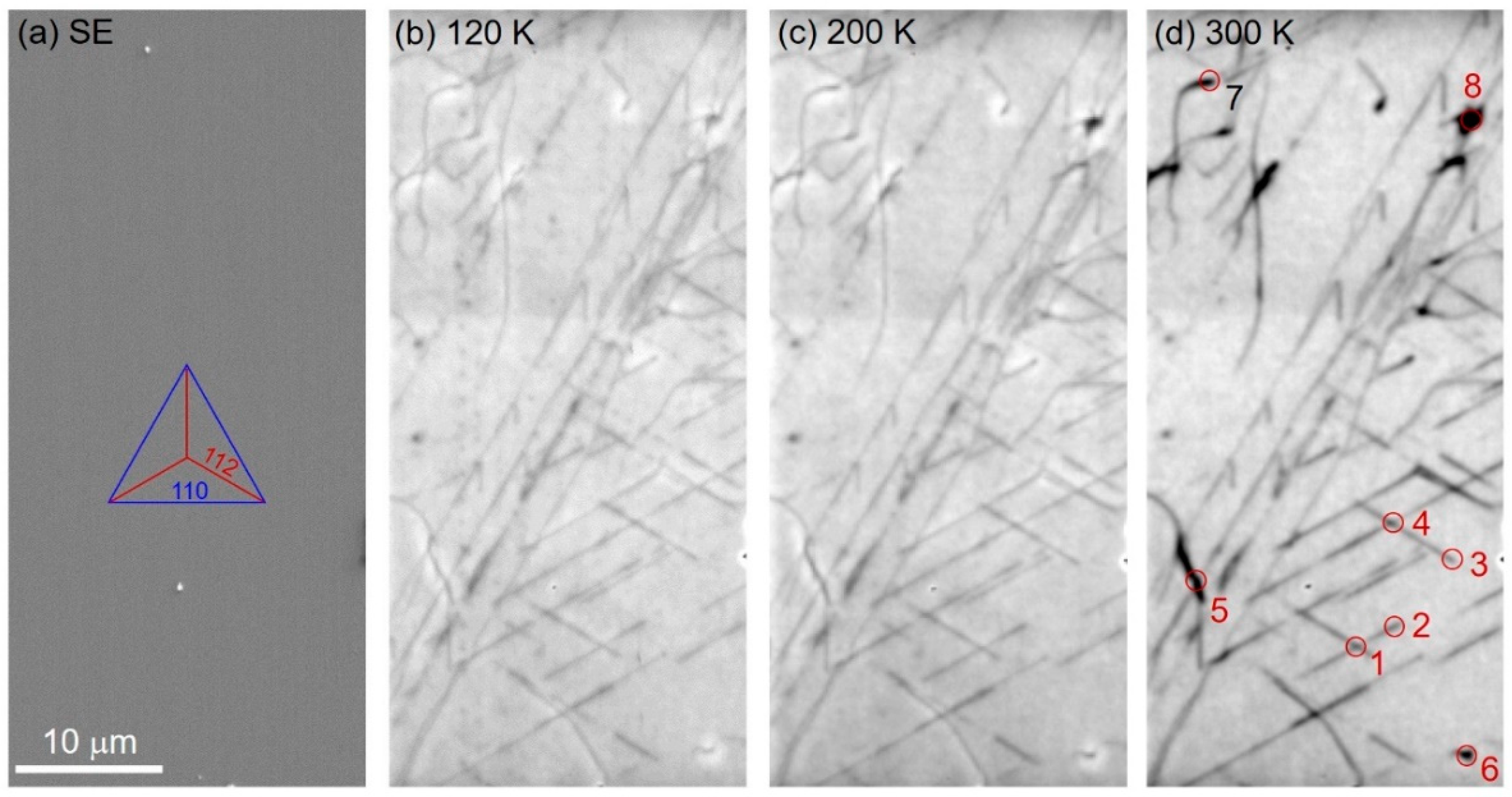 Crystals 10 00736 g001