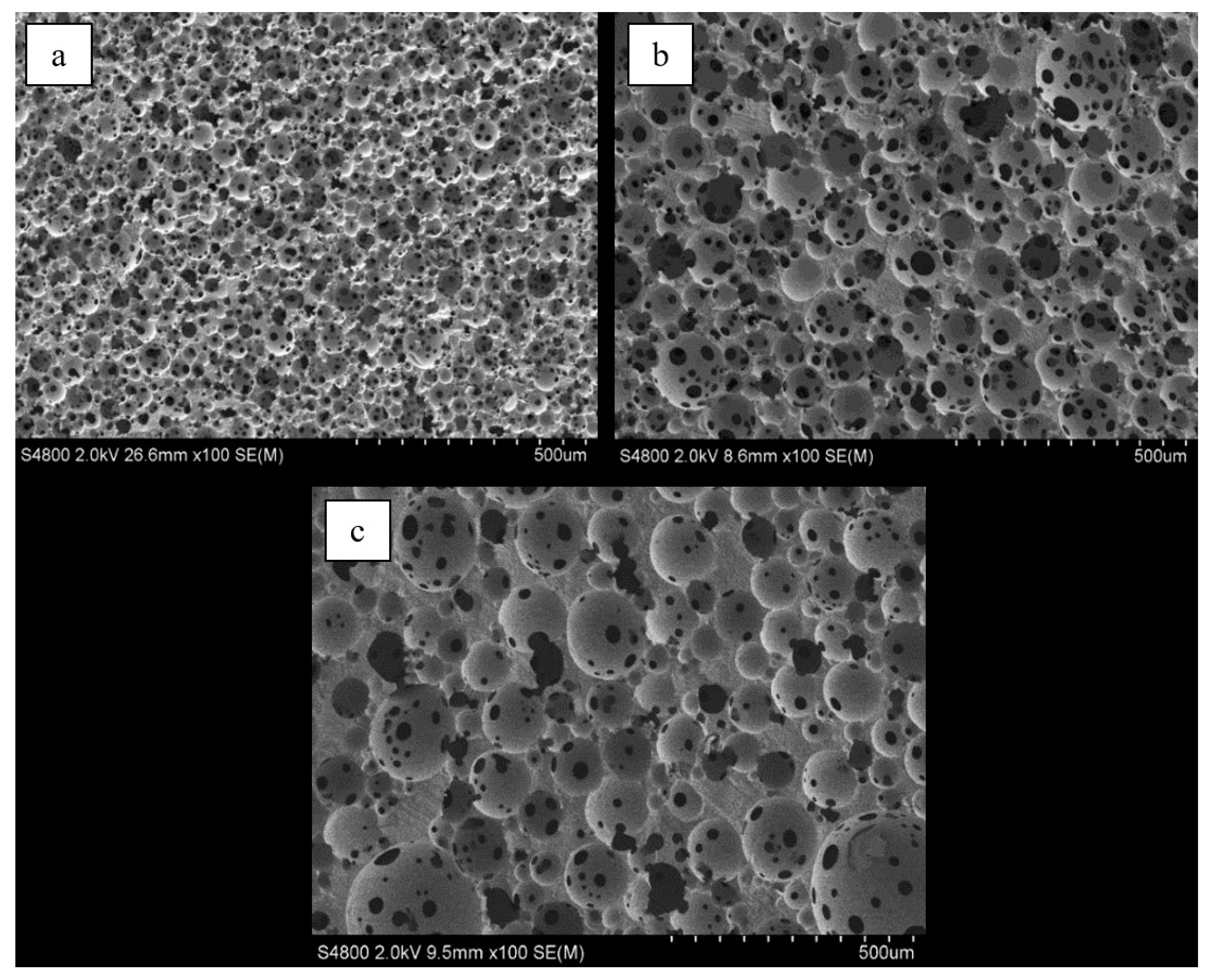 Crystals 10 00746 g002