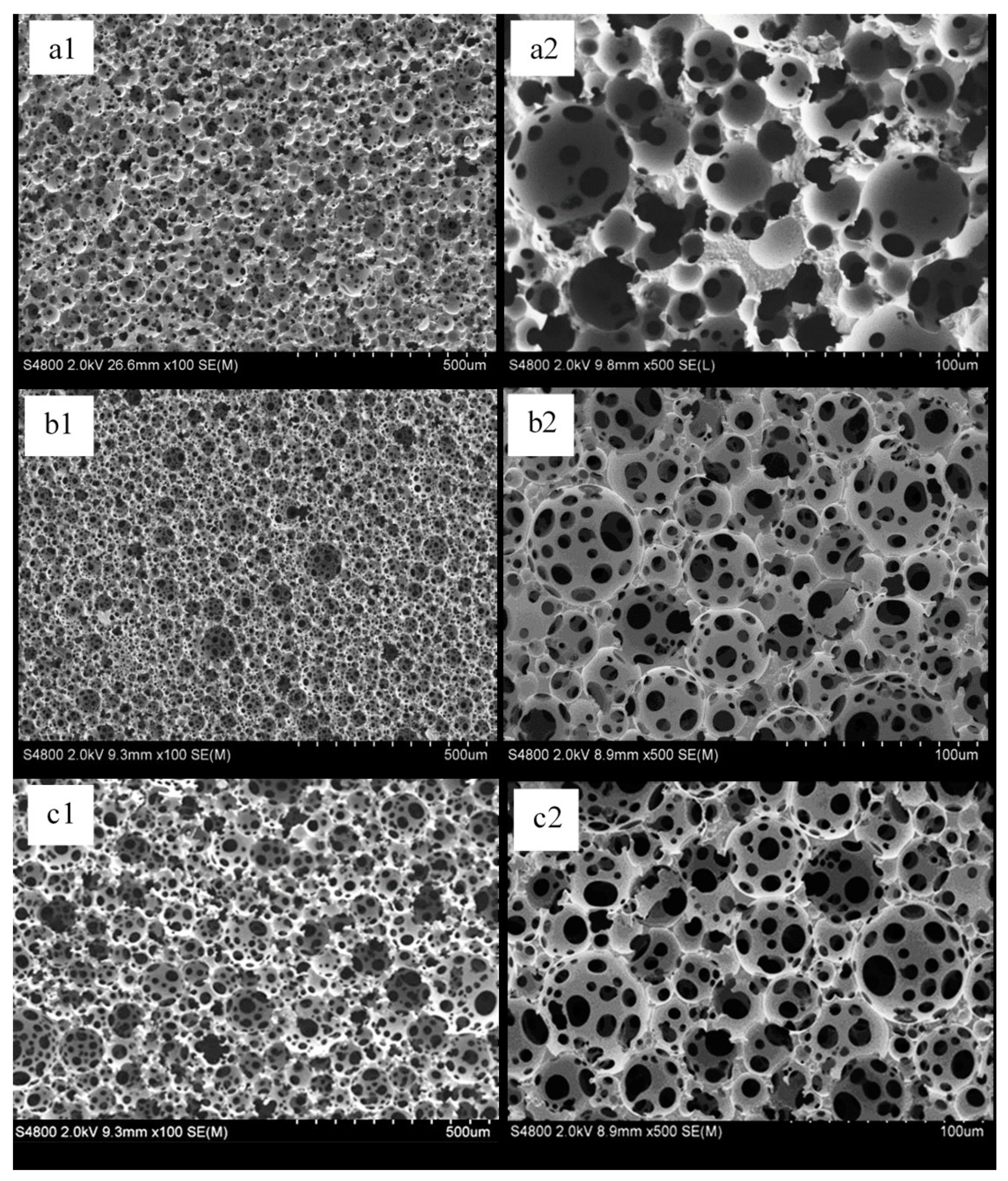 Crystals 10 00746 g003