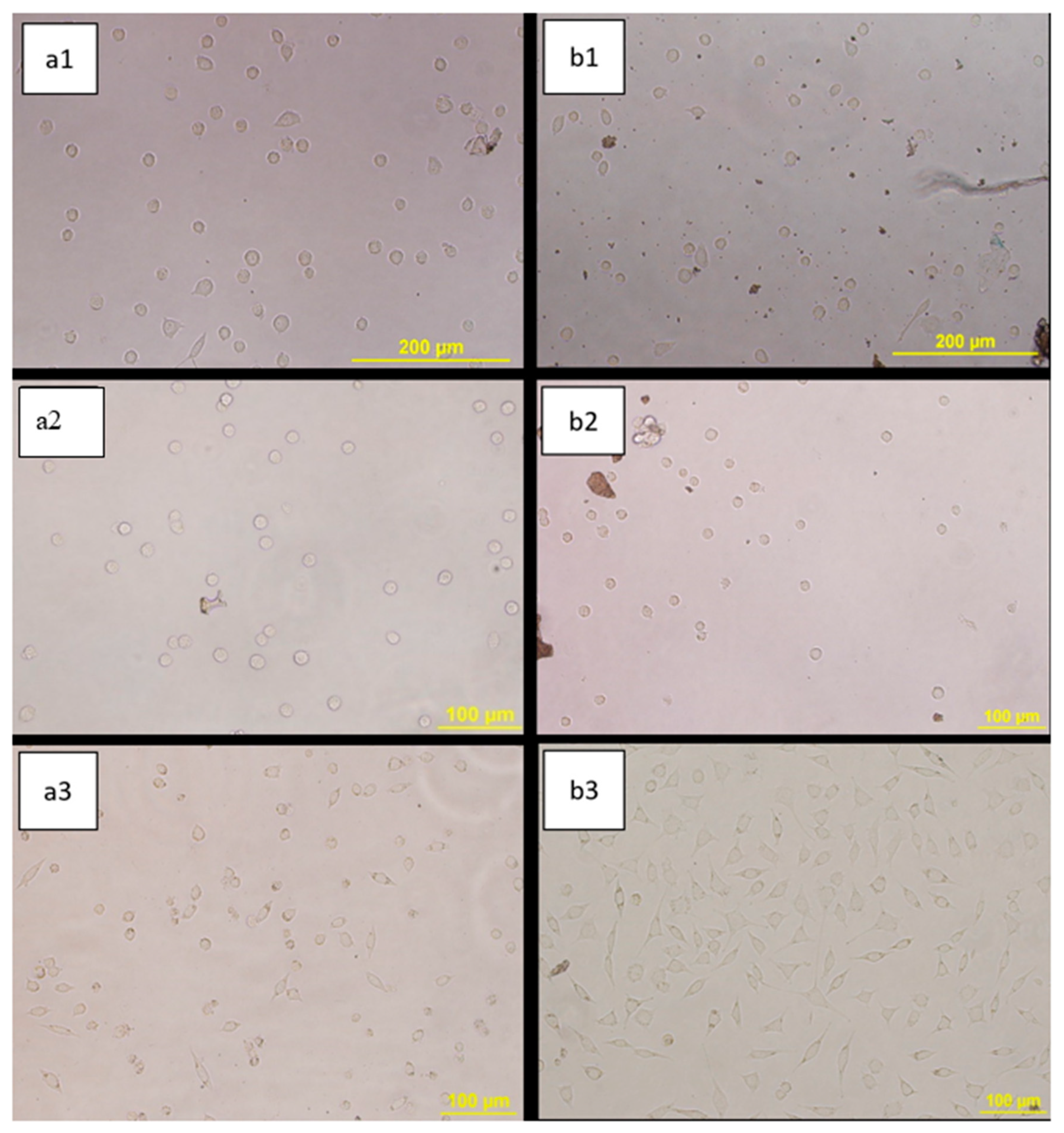 Crystals 10 00746 g012