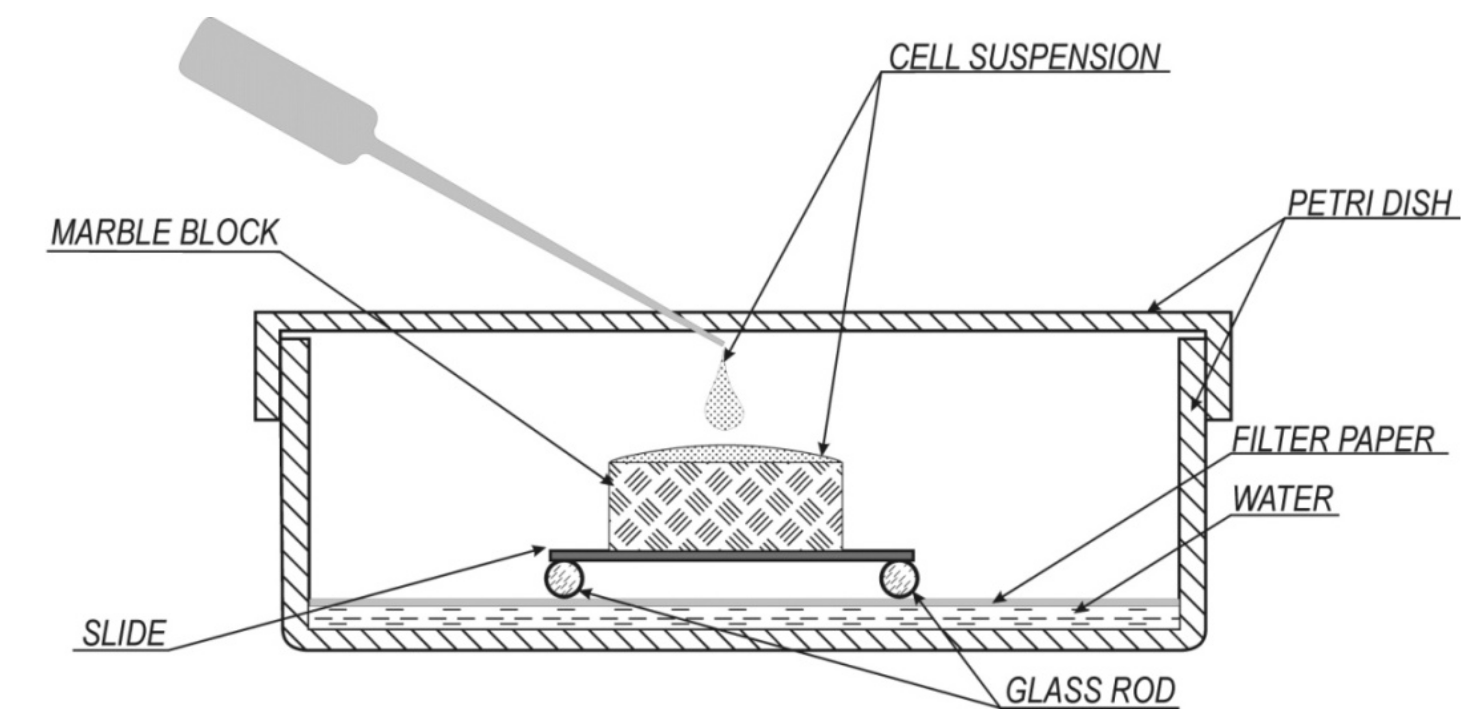Crystals 10 00756 g001