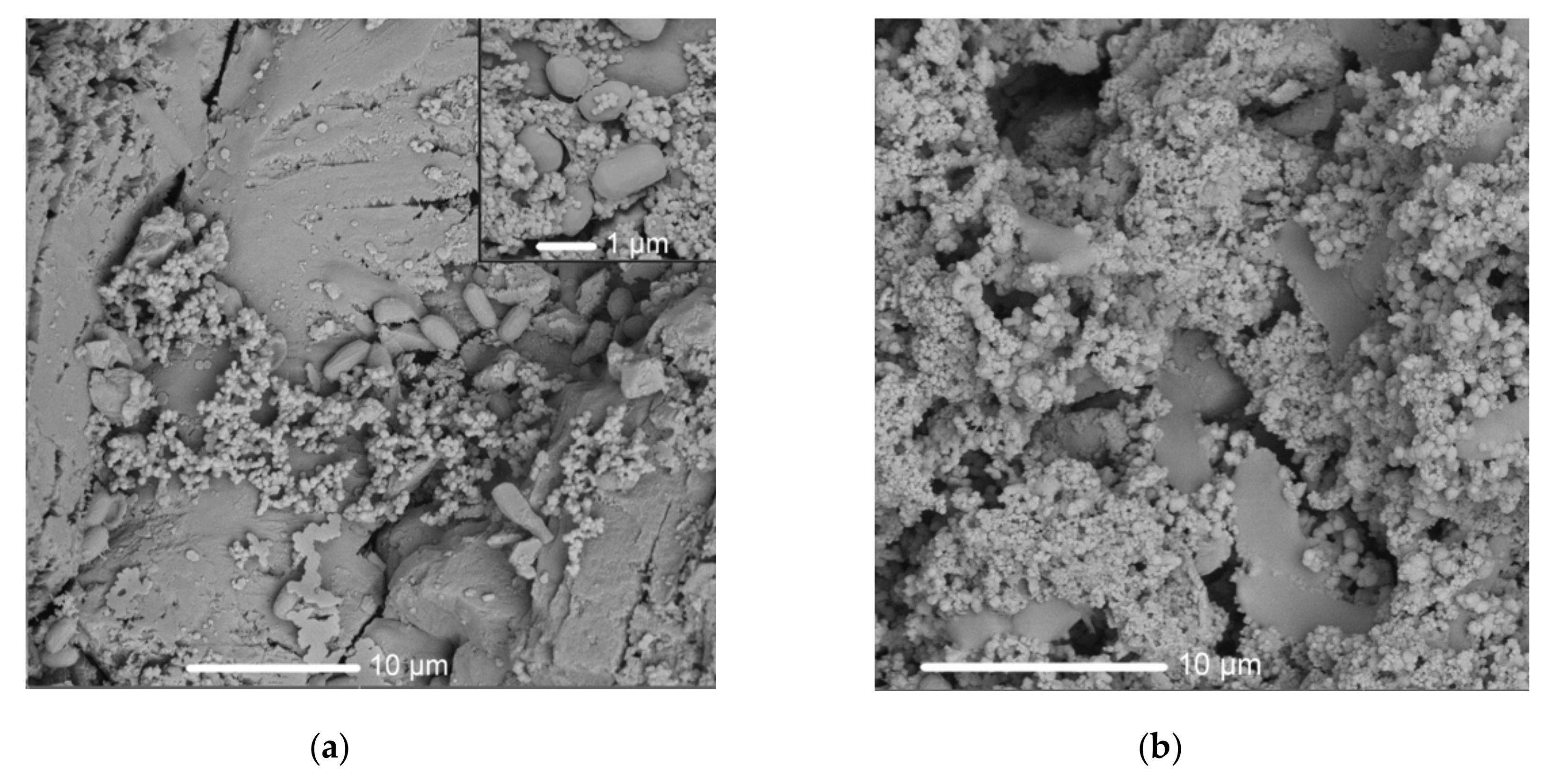 Crystals 10 00756 g003