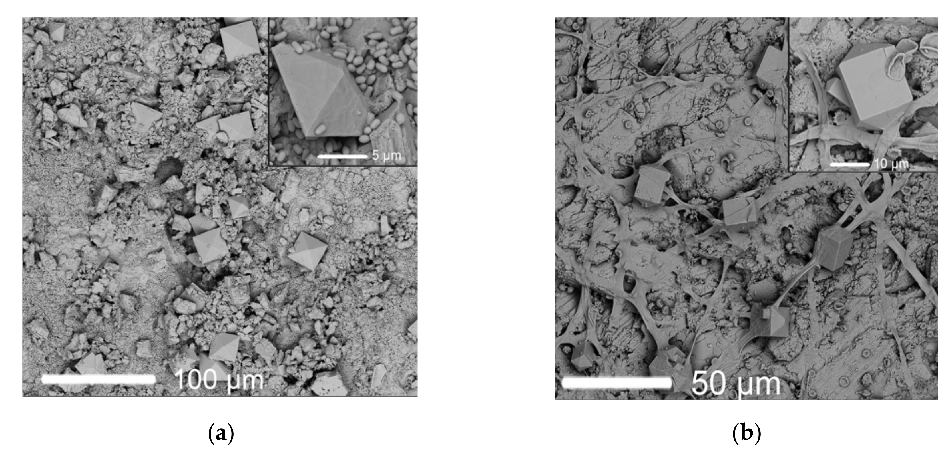 Crystals 10 00756 g005