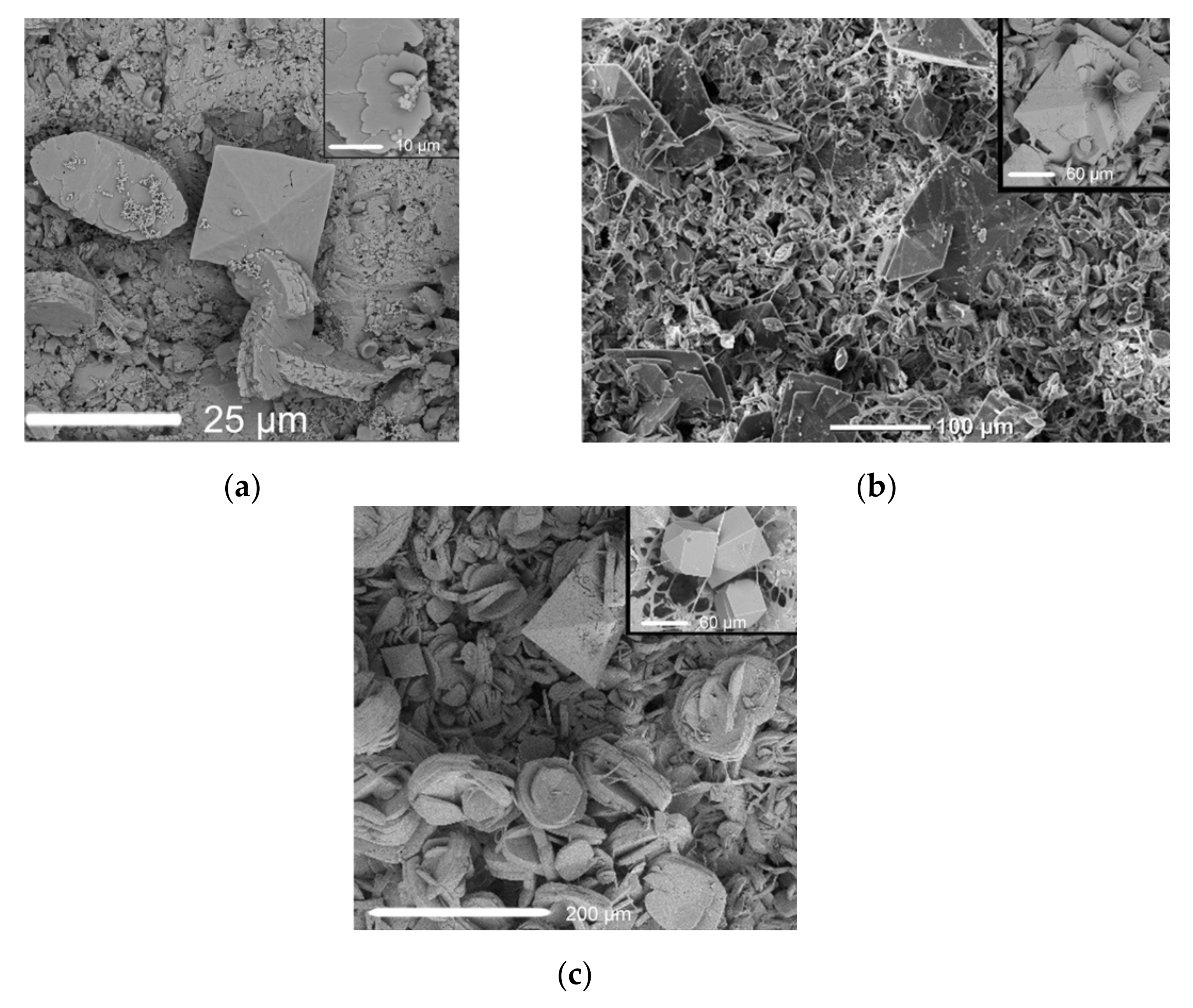 Crystals 10 00756 g006