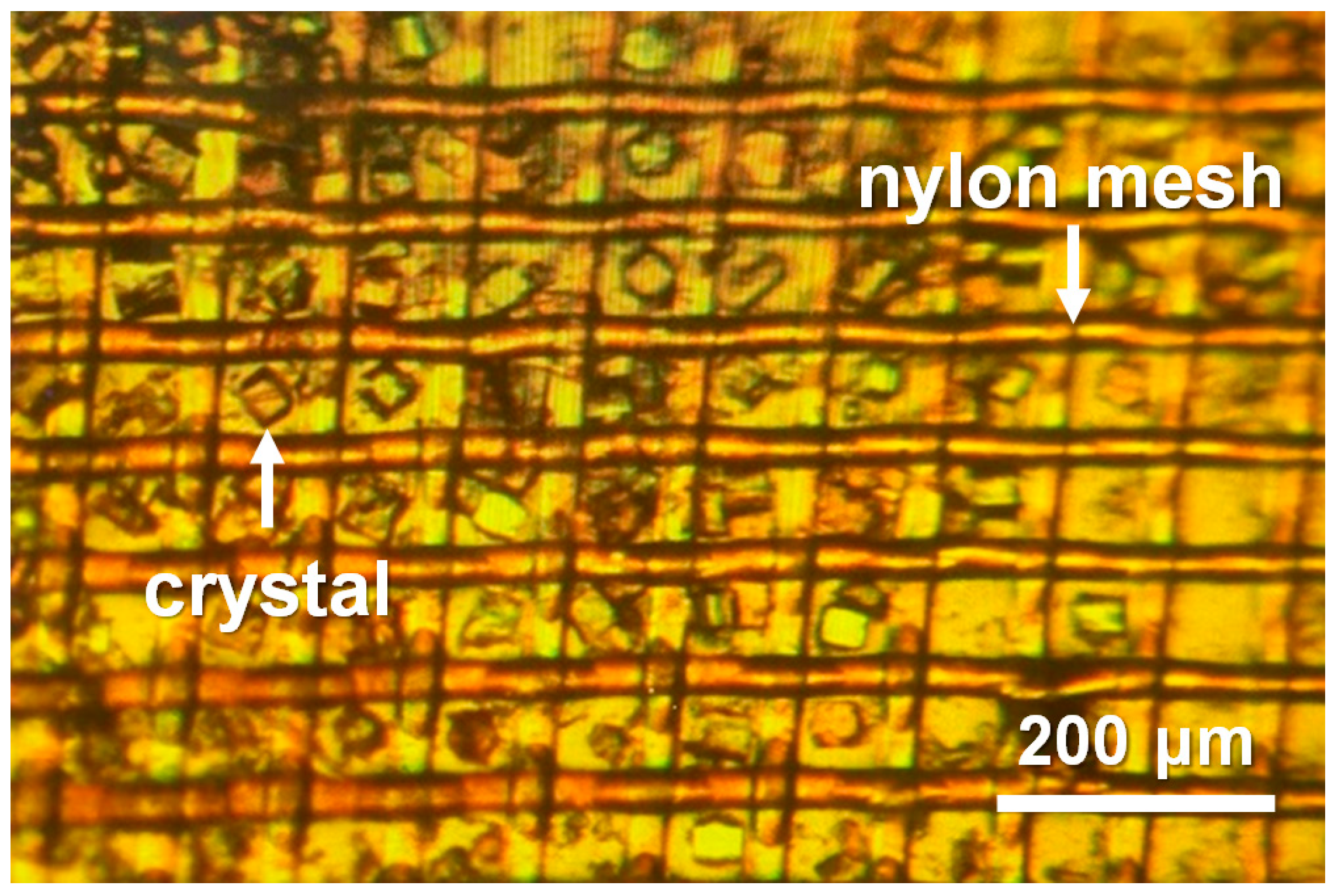 Crystals 10 00803 g007 Crystals 10 00803 g007