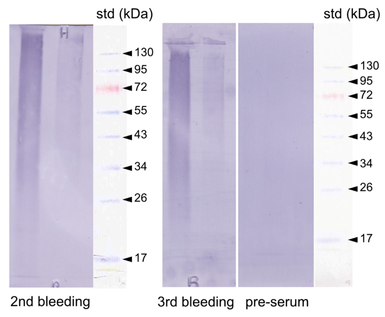 Crystals 10 00839 g009