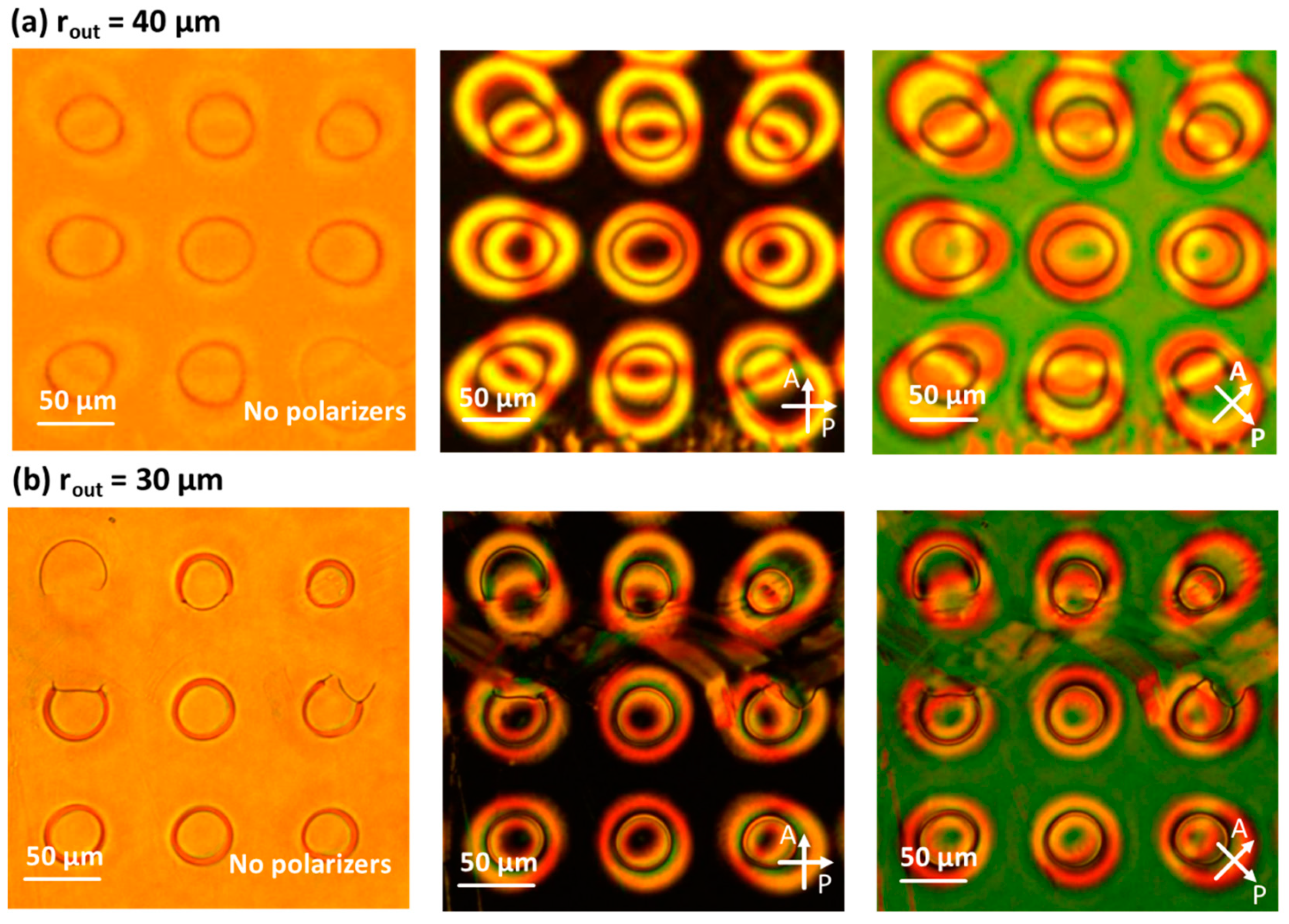 Crystals 10 00840 g006