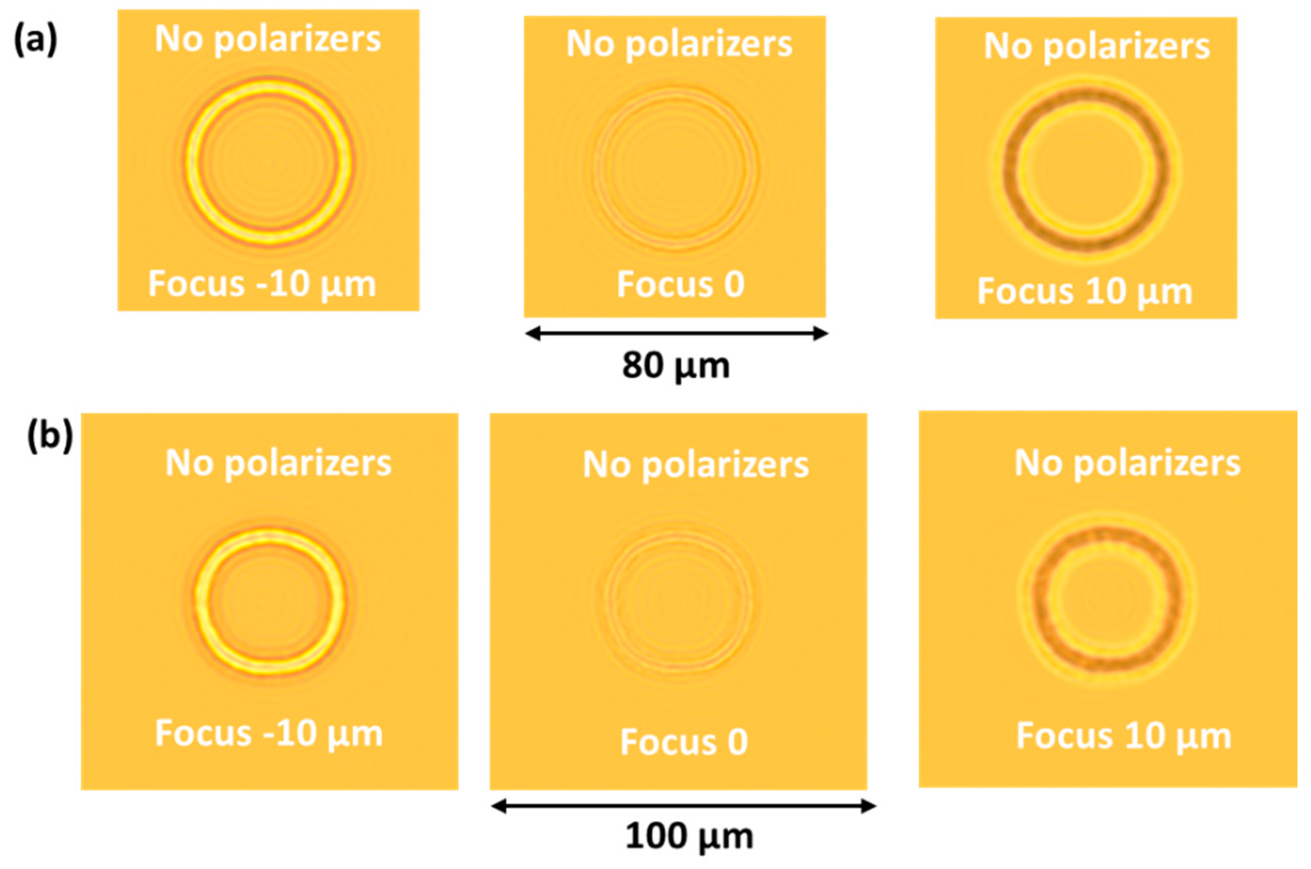Crystals 10 00840 g011