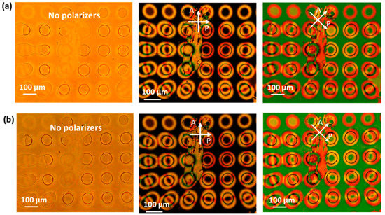 Crystals 10 00840 g0a1
